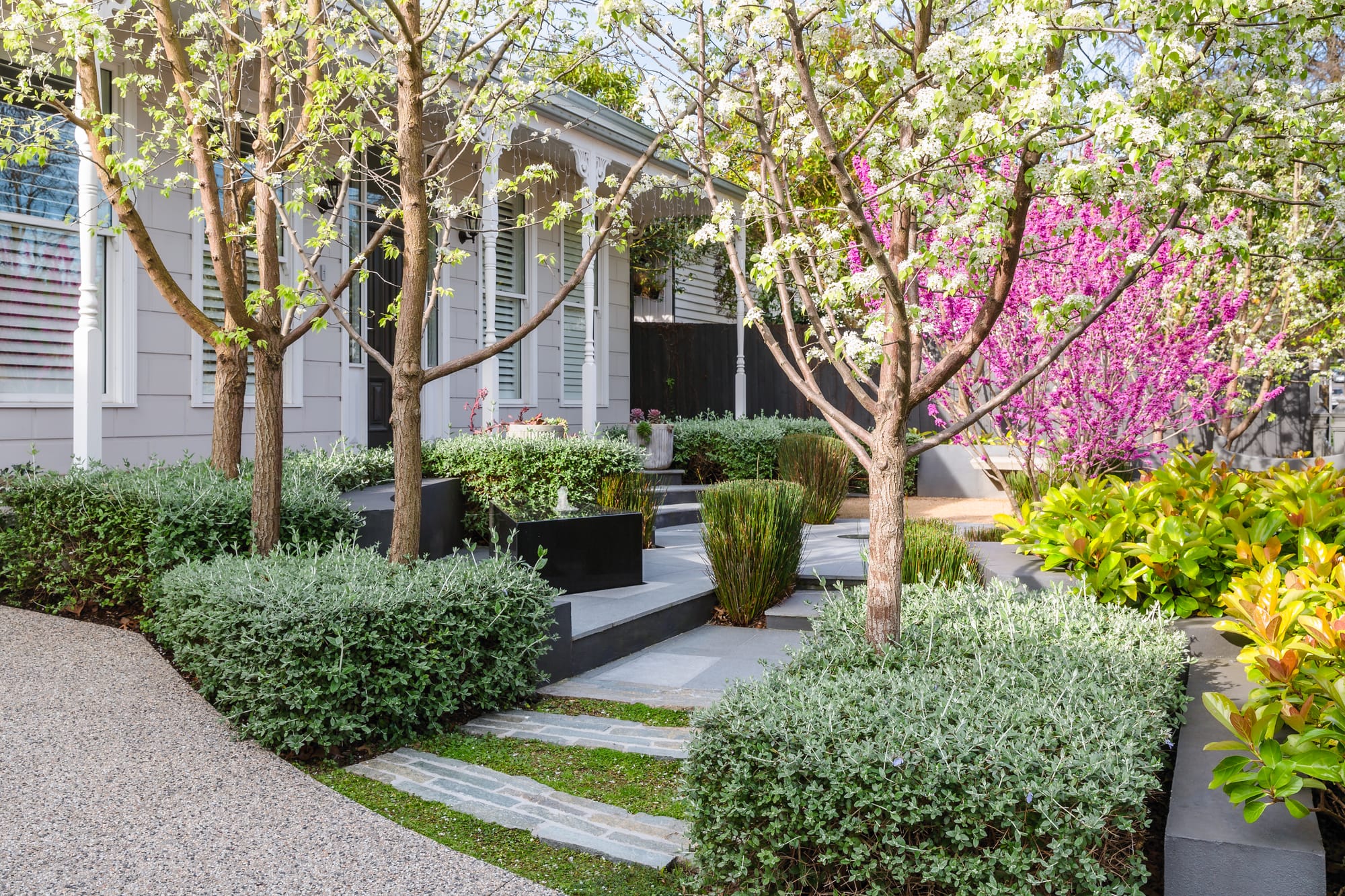  Sir Garnet Surrey Hills by Julie Crowe Landscape Design. Photography by Erik Holt Photography. Multi-level front garden. Steps leading to front porch of Victorian-era home. Trees with white and pink flowers scattered across garden levels.