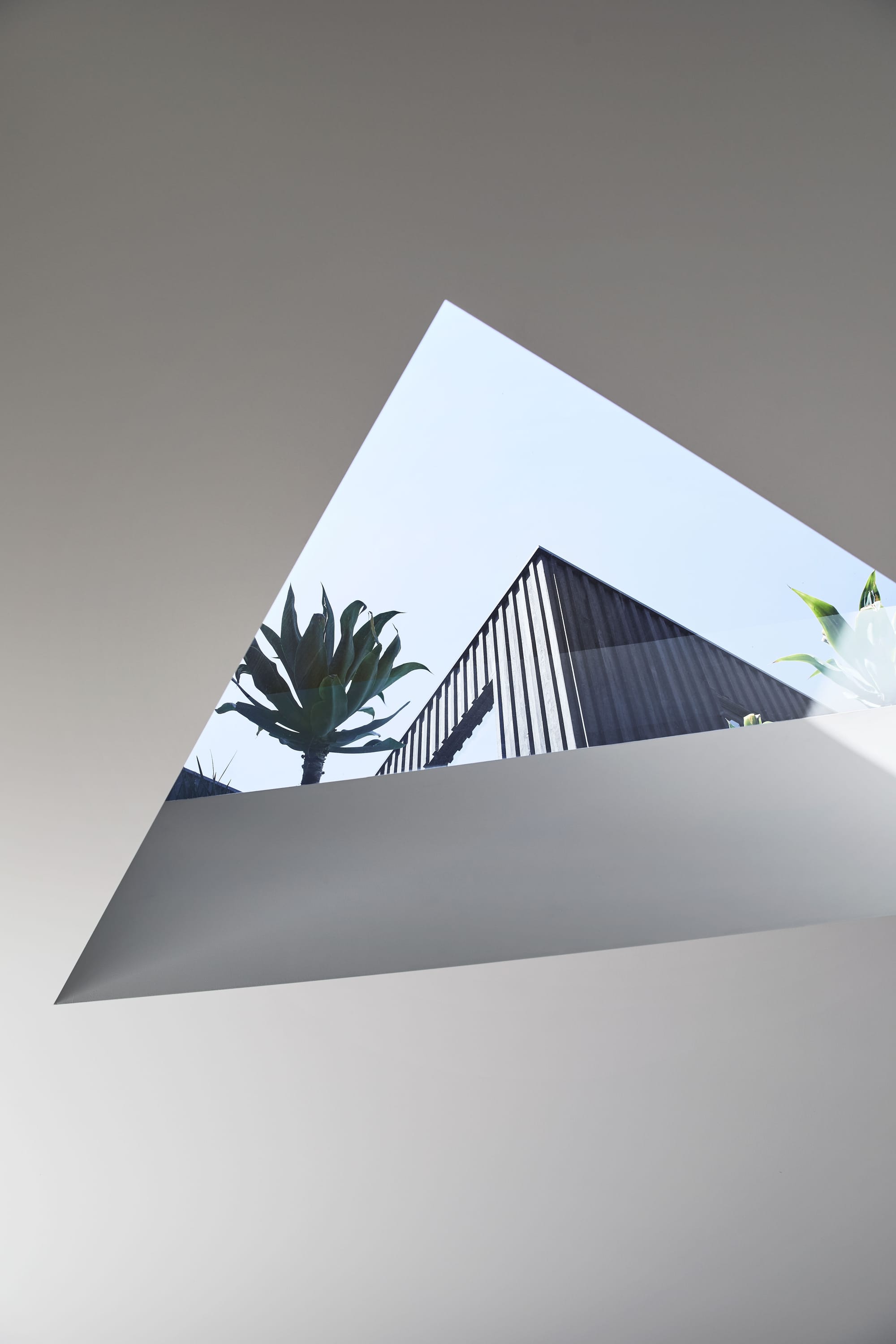 The Split Home by Seidler Group. Copyright of Seidler Group. Triangular skylight in white ceiling framing black metal second storey of home outside. Succulents visible through skylight. 