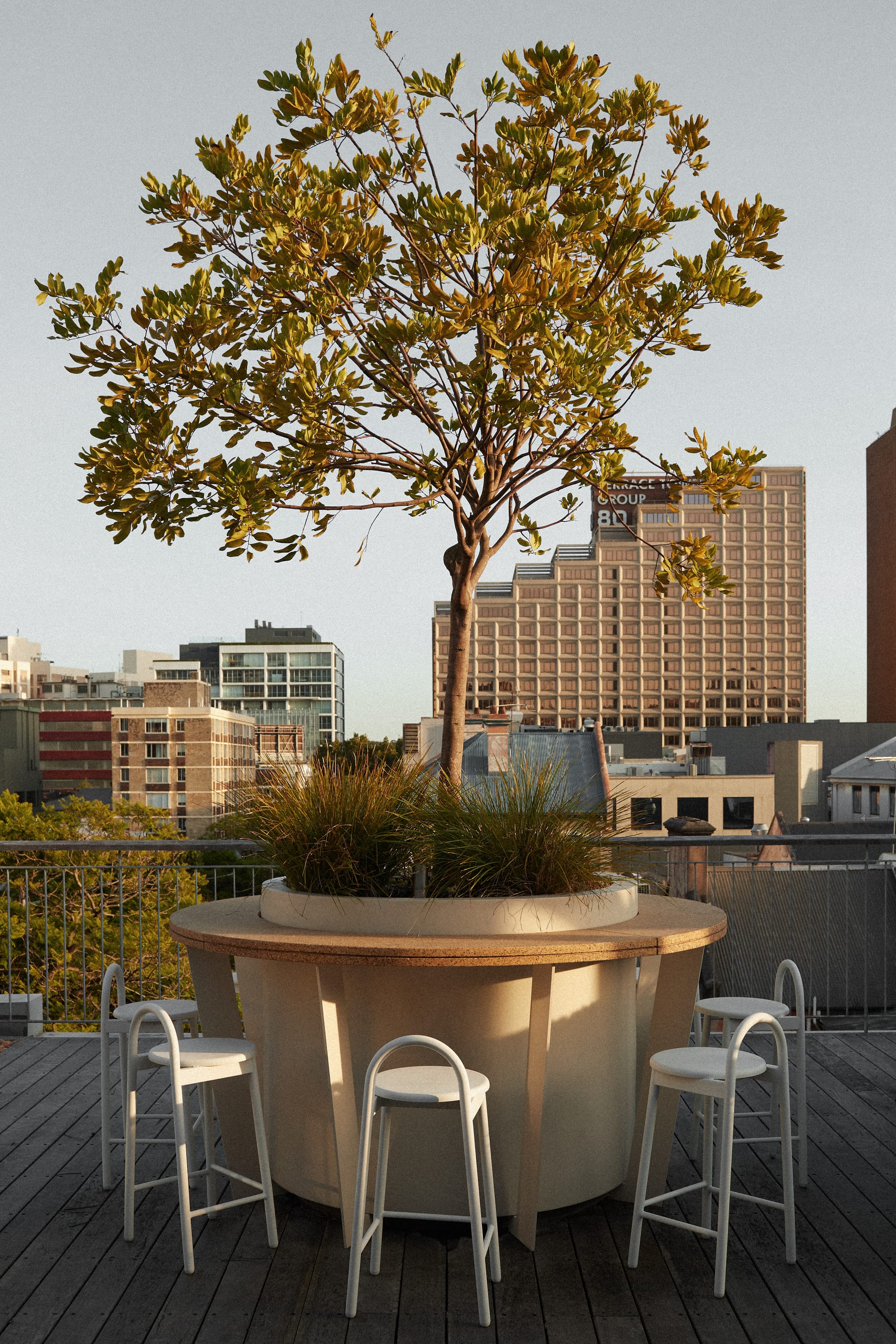 Riley Roof by Studio Shand. Photography by Traianos Pakioufakis. Rooftop garden with timber deckling on floor and city views. Benchtop wraps around large potted tree. White bench stools. 