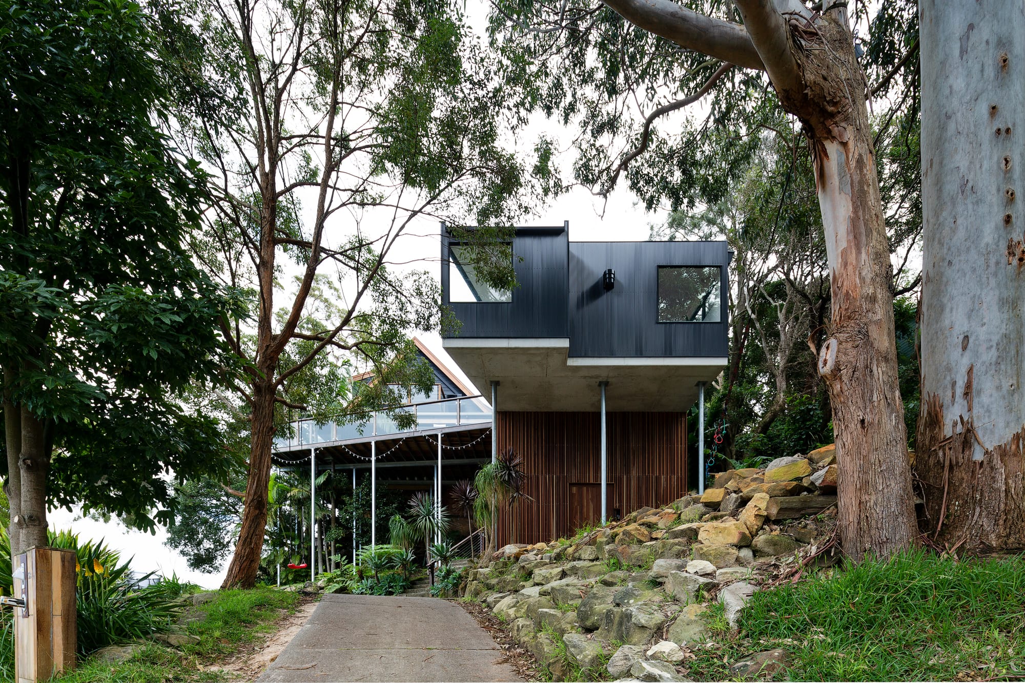 Tree House by North By North. Photography by Simon Whitbread. Path leading up to double storey timber clad home. Lots of trees and greenery around the home.