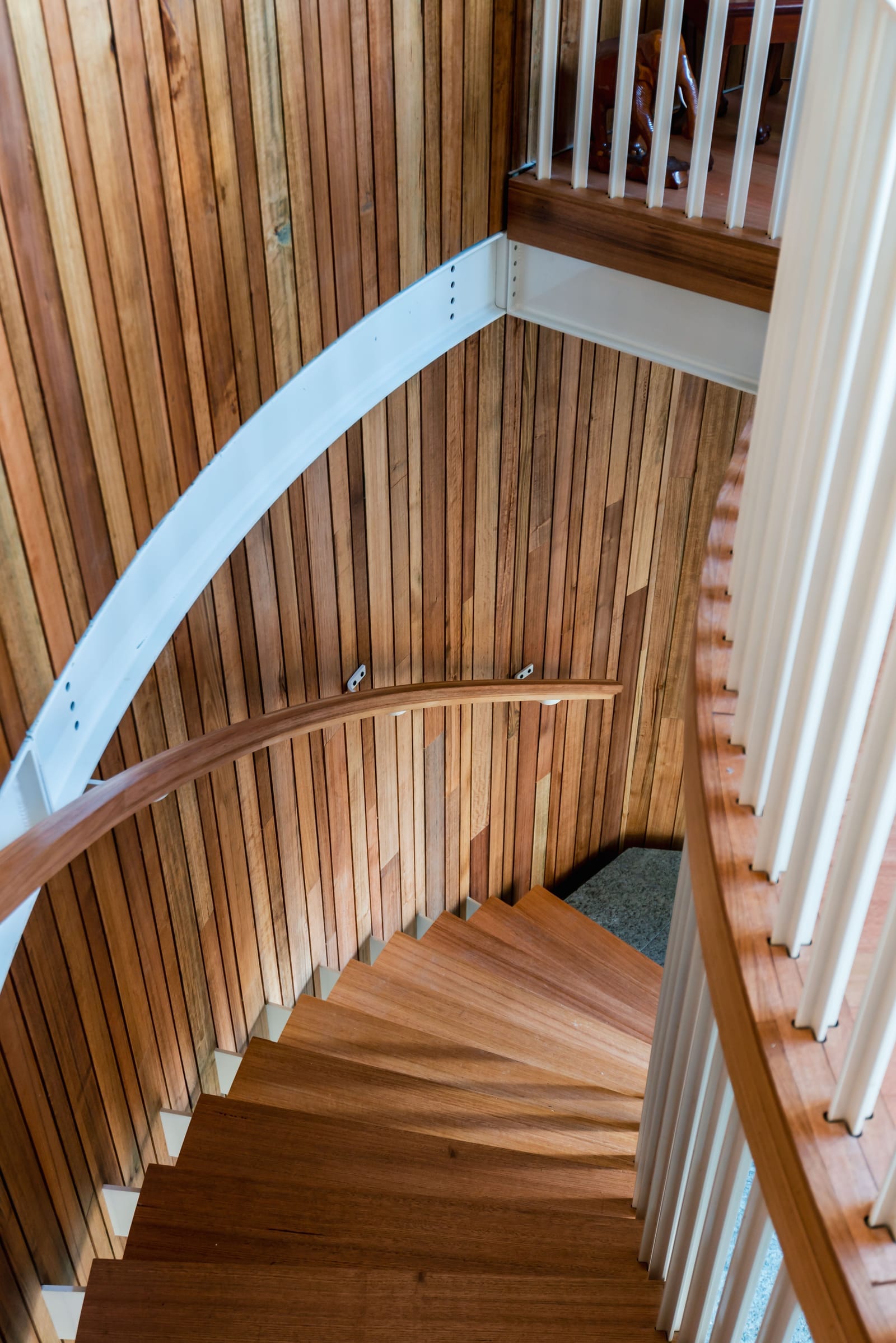Wattle Bird House by Flett Architecture. Photography by Matt Sansom. Curved timber staircase leading downstairs. Timber clad walls and timber balustrades.