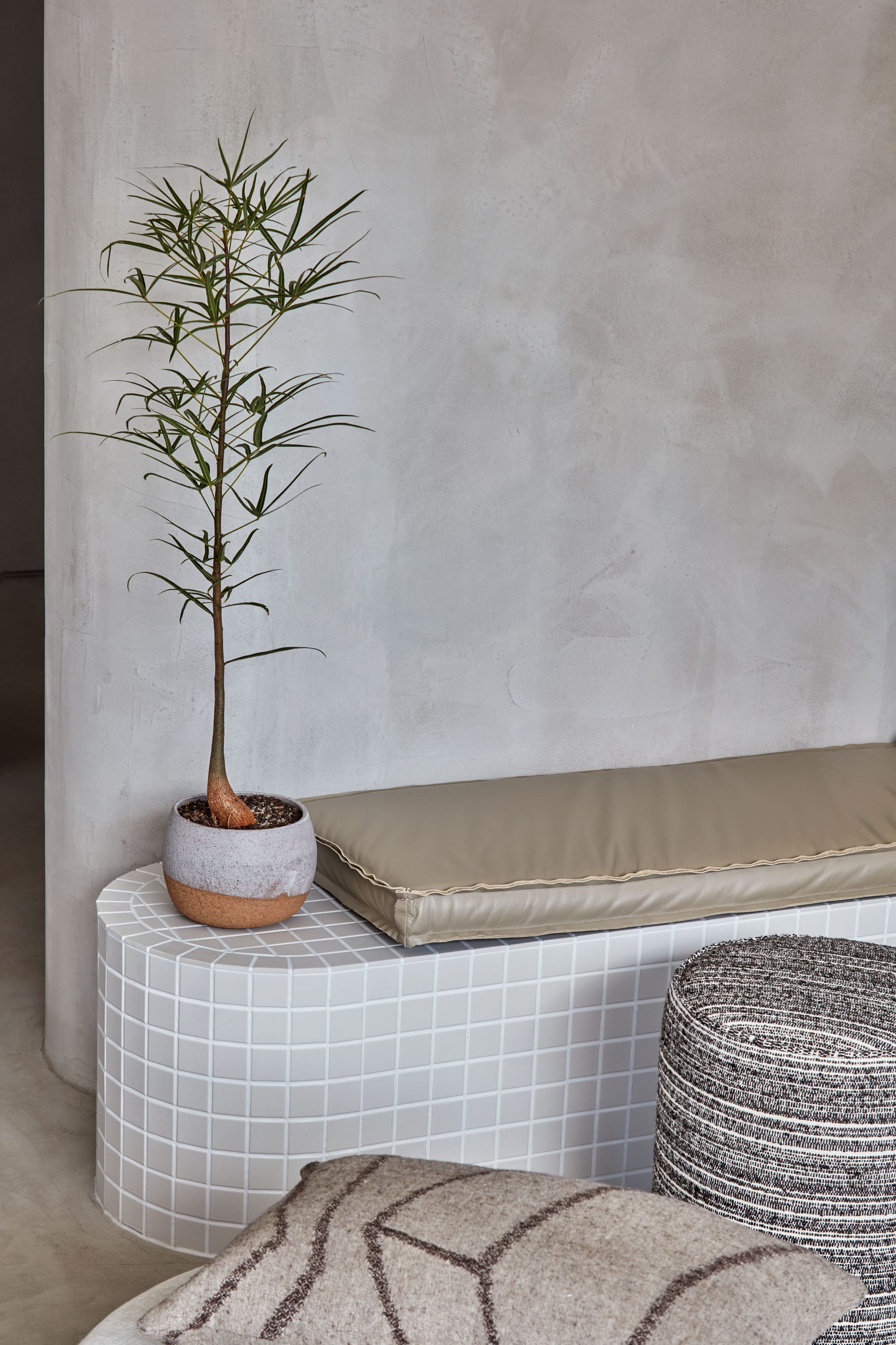 Zenn Showroom. Photography by Elisa Watson. Tiled curved bench seat with beige leather cushion. Small potted plant. Grey plaster walls. 