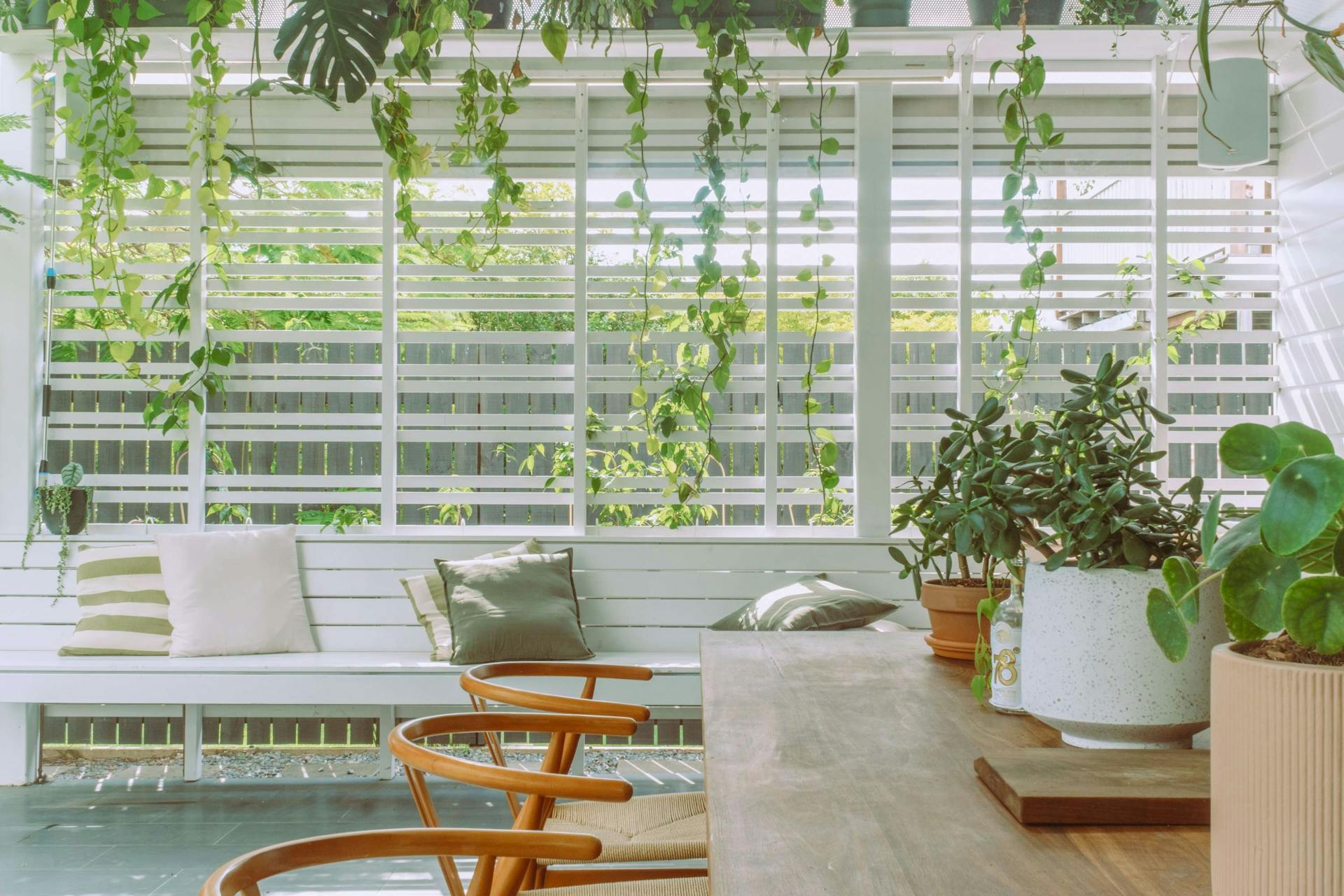 Cornerstone by Loupe Architecture. Photography by Loupe Architecture. Plants hanging over white clad sunroom. 