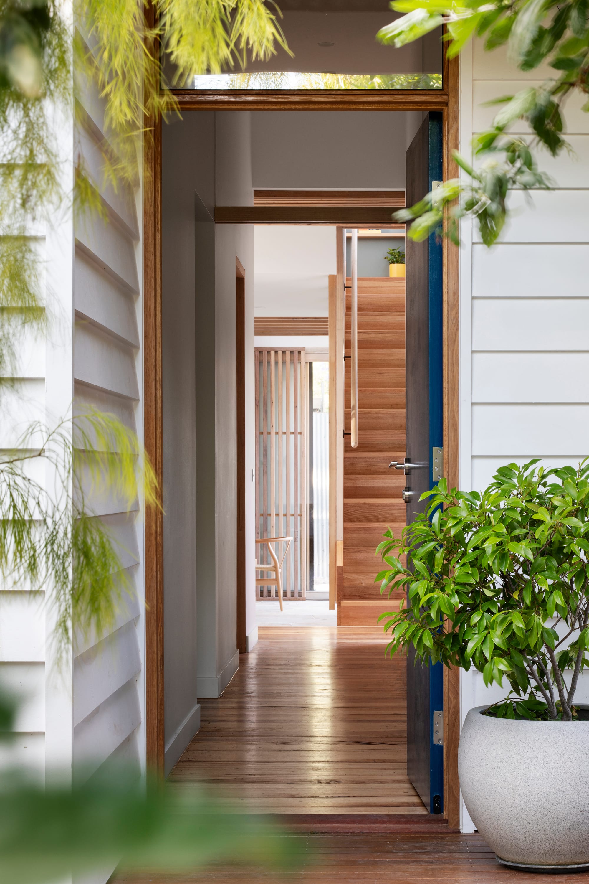 An exterior shot of the entry of the house showing white weatherboards and a blue door open with a glimpse into the interiors