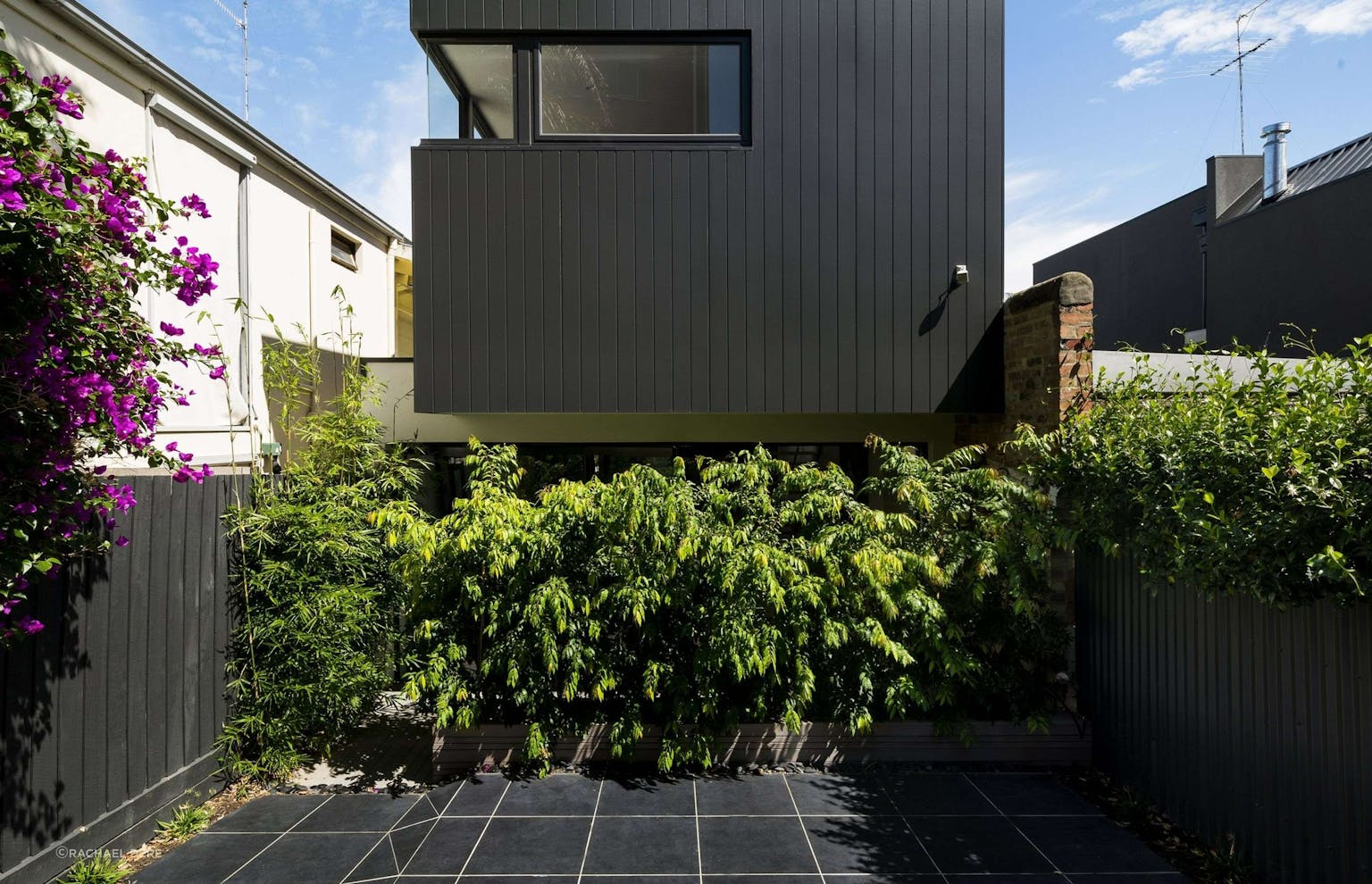 Mason Street Residence by FYC Architects. Photography by Rachael Dere. Exterior facade of black timber clad home floating above dense green bush in ground floor. 