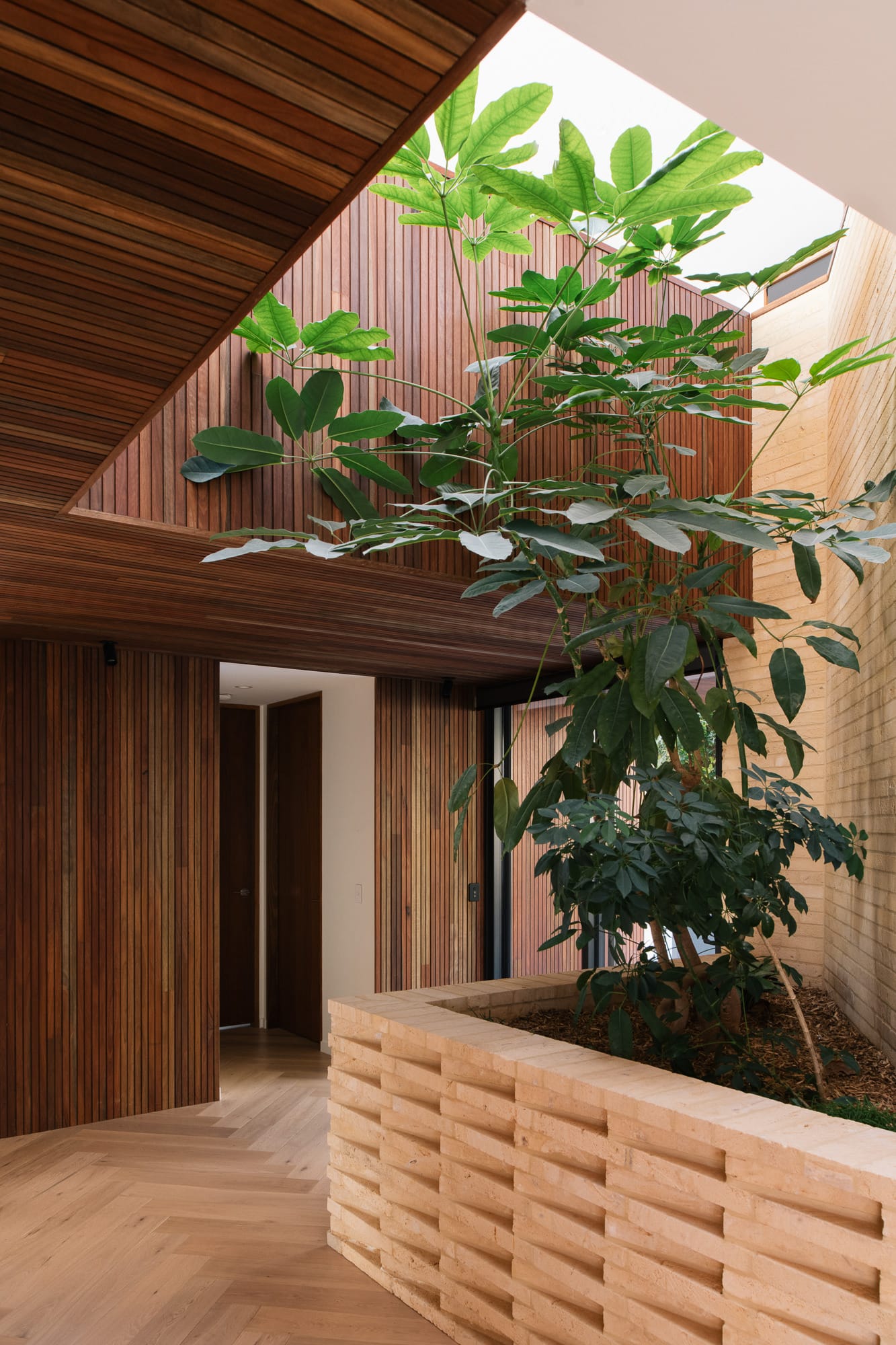 Mortlock Timber Series: The Milldam. Photography by Anjie Blair. Hallway with light timber herringbone floors, dark timber clad walls, and a large open void with rubber plant growing in gap. 