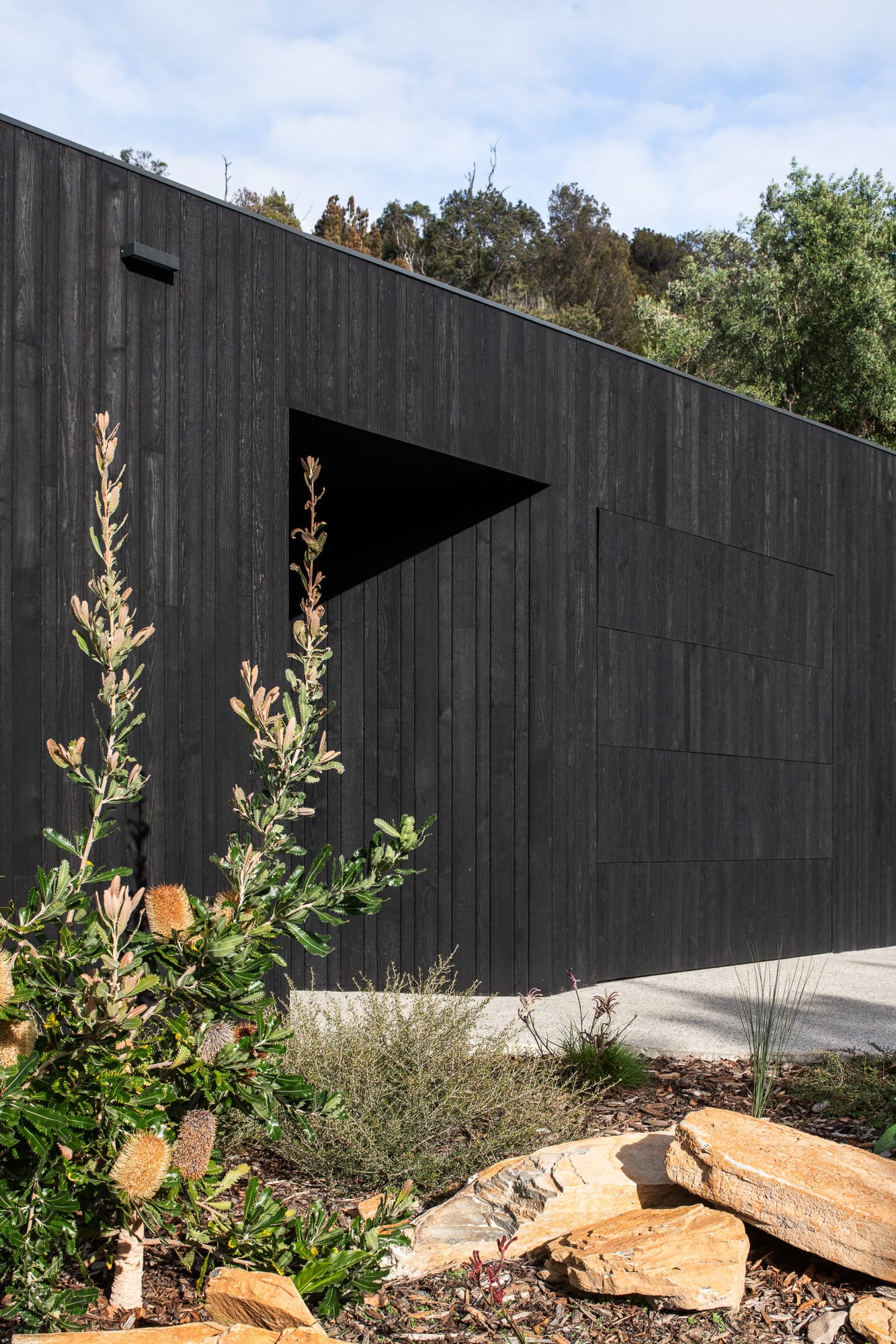 Mortlock Timber Series: The Milldam. Photography by Anjie Blair. Exterior facade of home clad with lack charred timber and native garden in foreground. 