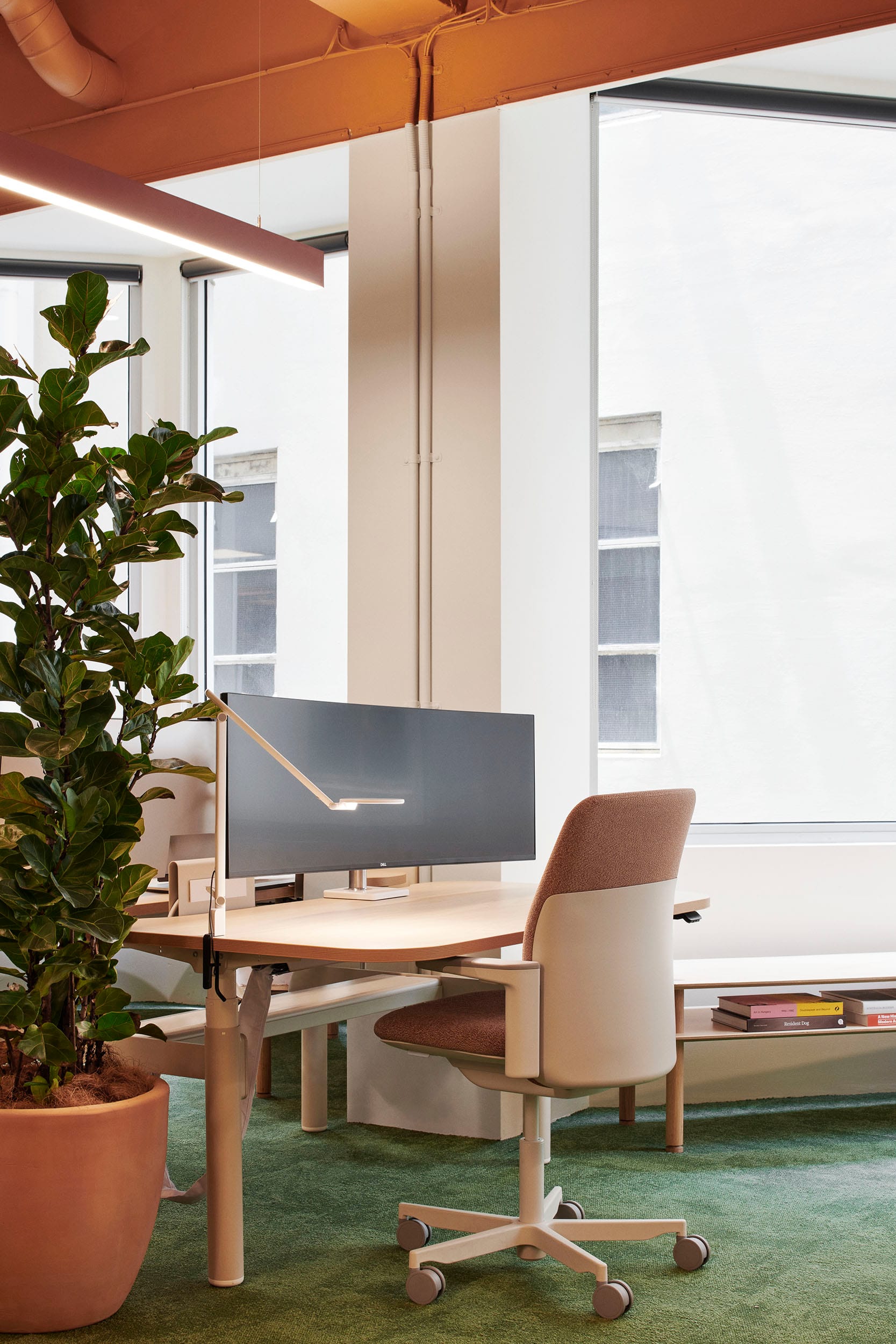 Hames Sharley Melbourne Studio by Hames Sharley. Photography by Nicole England. Office desk with white, timber and terracotta finishes. Green carpet, terracotta pot and ceiling.