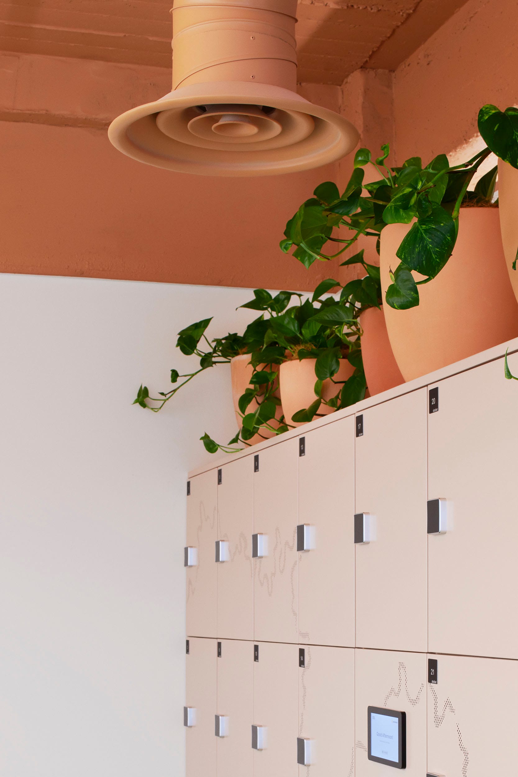 Hames Sharley Melbourne Studio by Hames Sharley. Photography by Nicole England. Neutral toned lockers with plants in terracotta pots on top. 