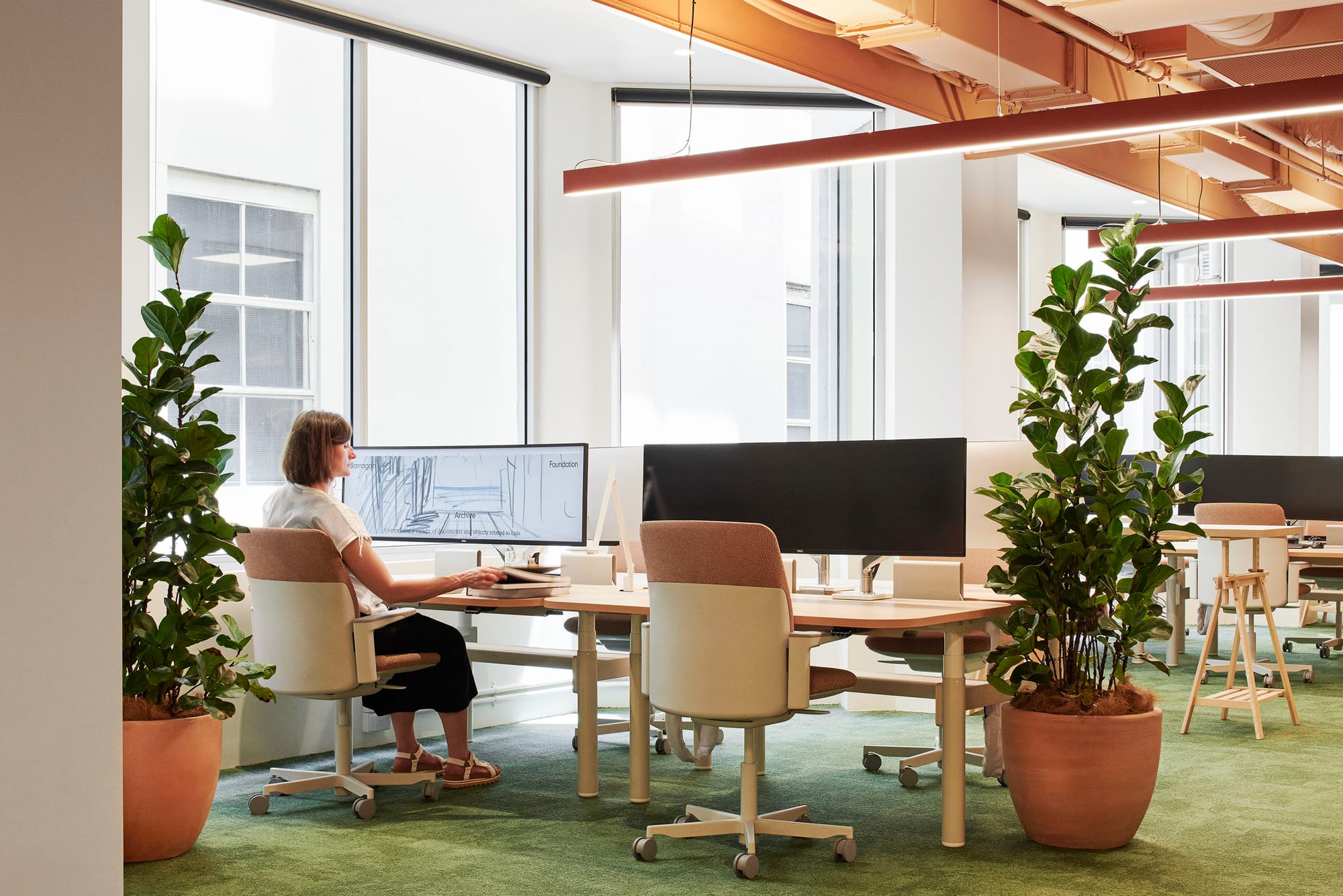 Hames Sharley Melbourne Studio by Hames Sharley. Photography by Nicole England. Office space with full height windows, green carpet and terracotta exposed ceiling. Desks and chairs in neutral tones. 