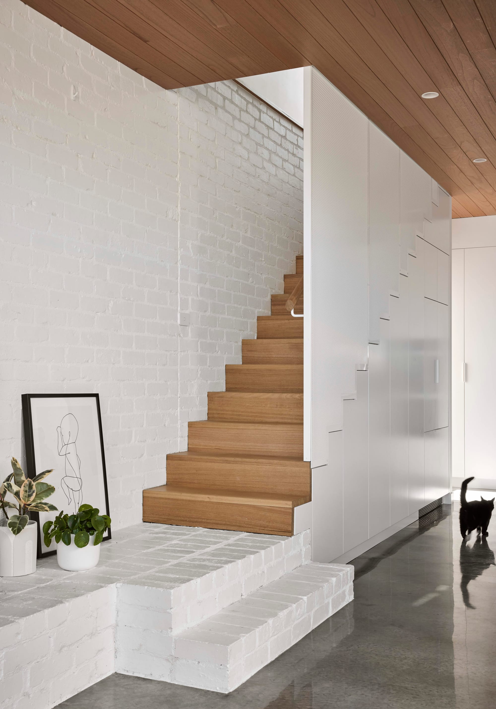 Rosie by Eckersley Architects. Photography by Tess Kelly. Timber staircase behind white screen walls and next to white brick wall. Polished concrete floors on ground floor. 