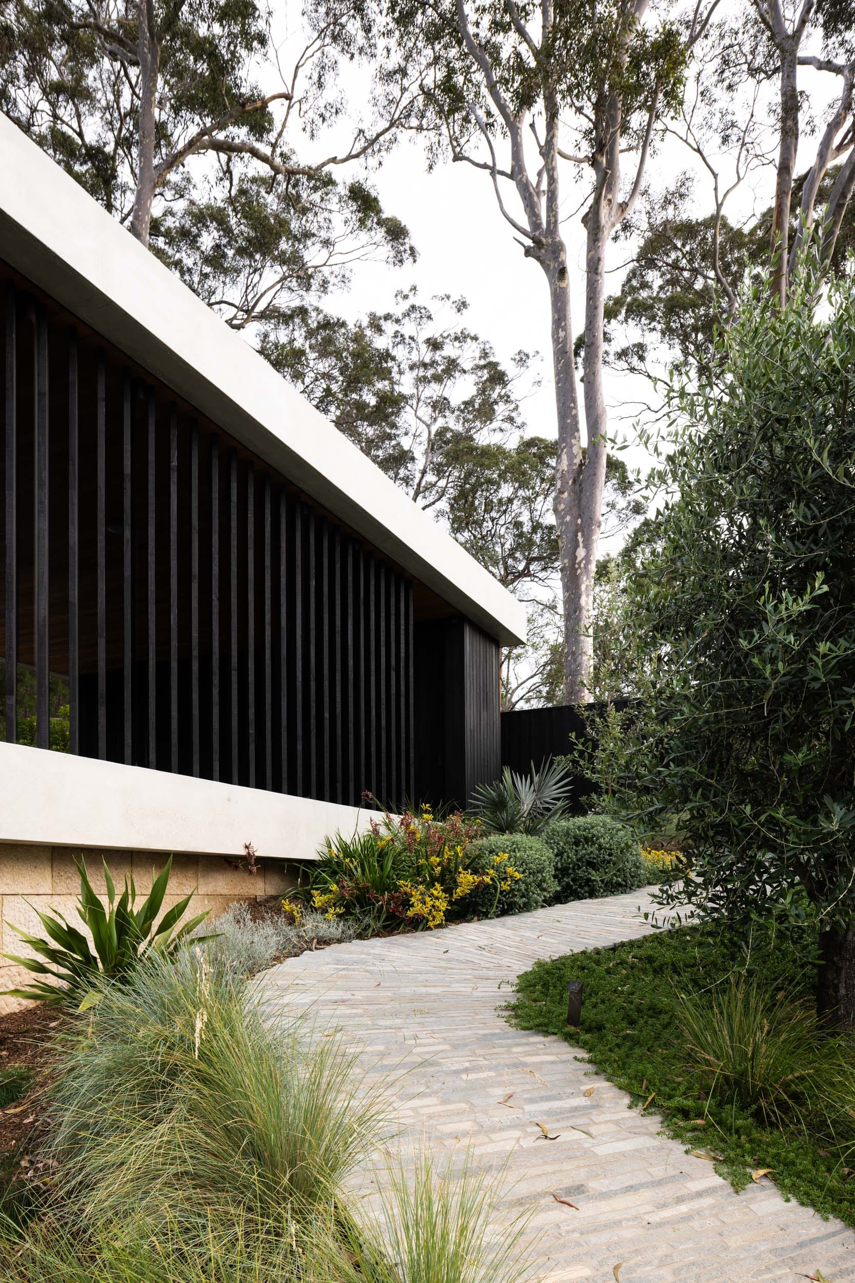 Ripple House by Marker Architecture. Walkway to house surrounded by greenery.