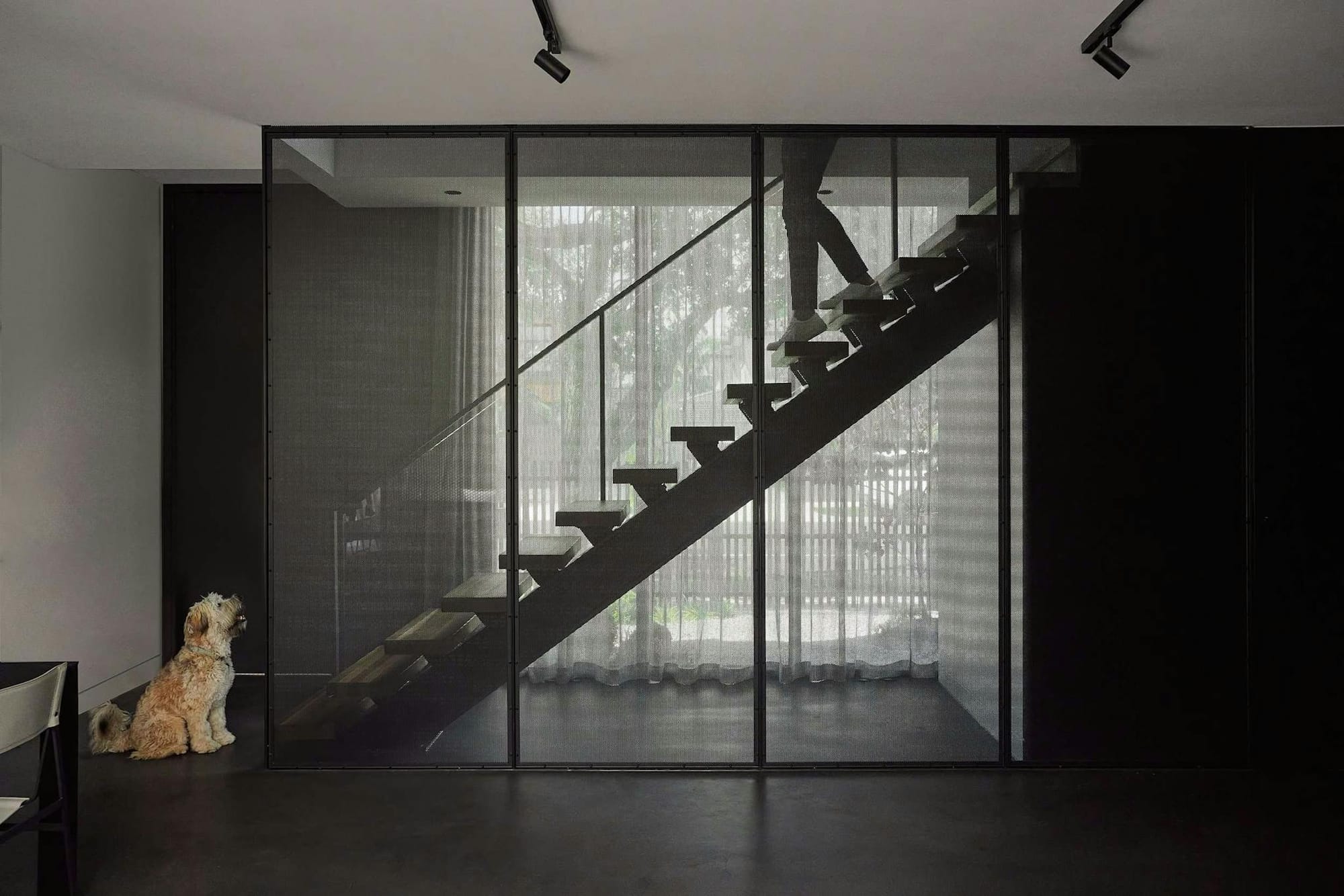 The Bach Pad by Merrylees Architects. Black hallway featuring staircase with transparent panelling mash and floor to ceiling curtains.