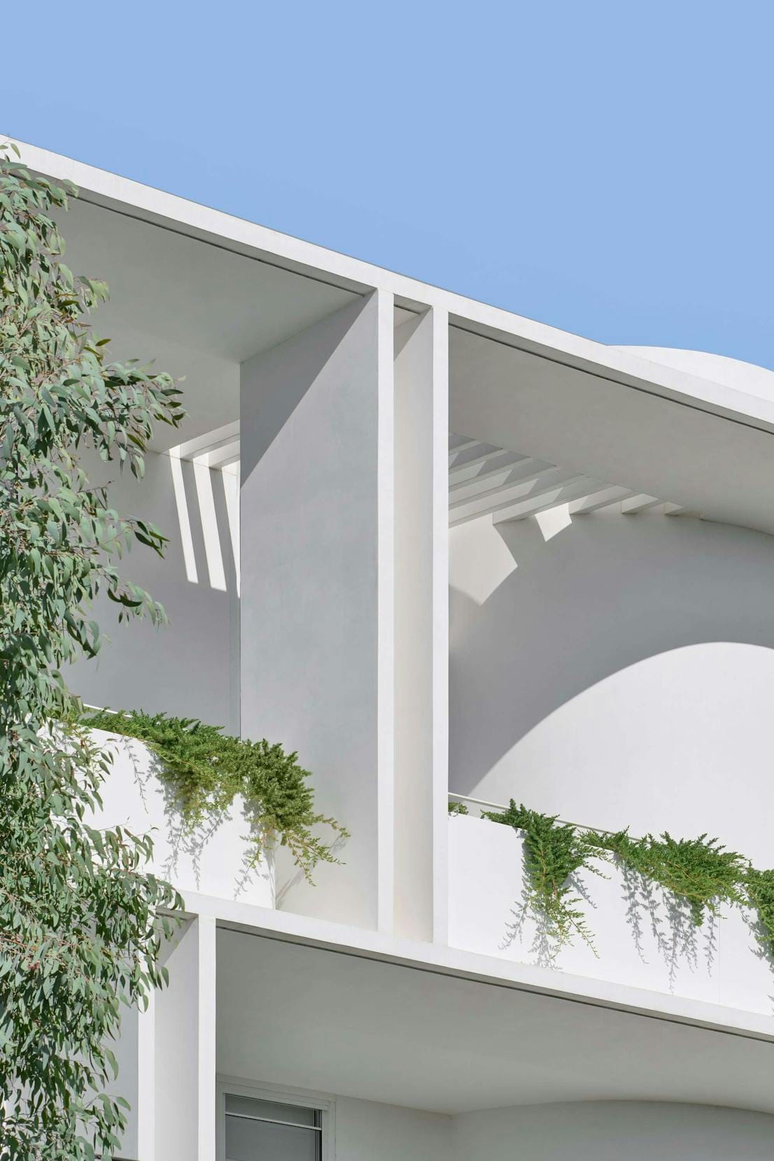 Brighton Apartments by Merrylees Architects. White, minimalistic, curved facade detail vegetated.