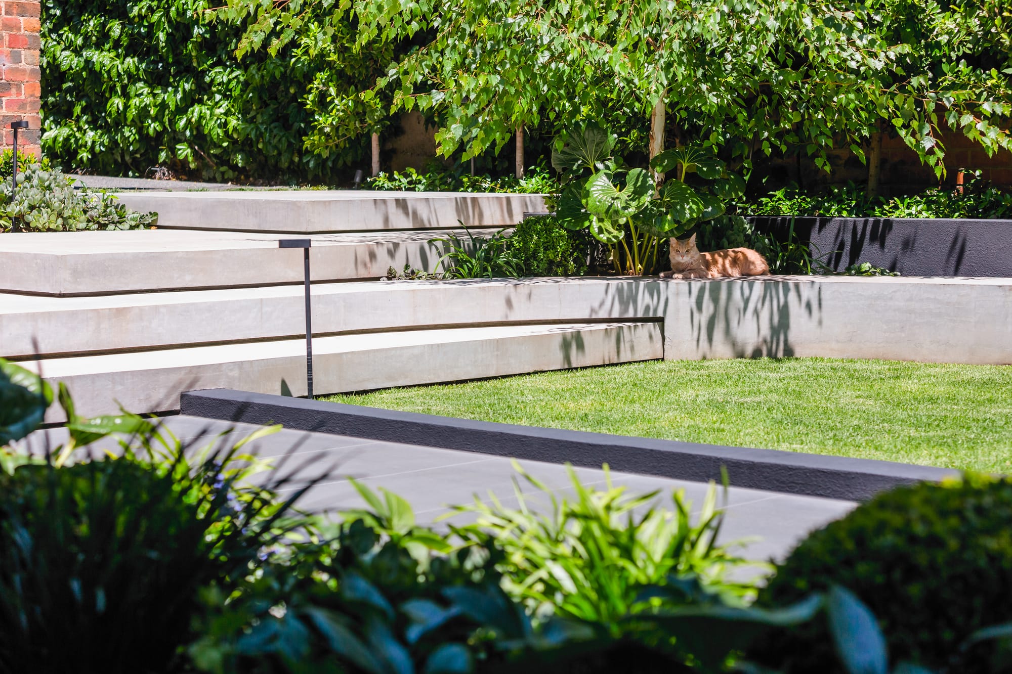 Garden featuring layered concrete hardscaping and stone staircase and cat.