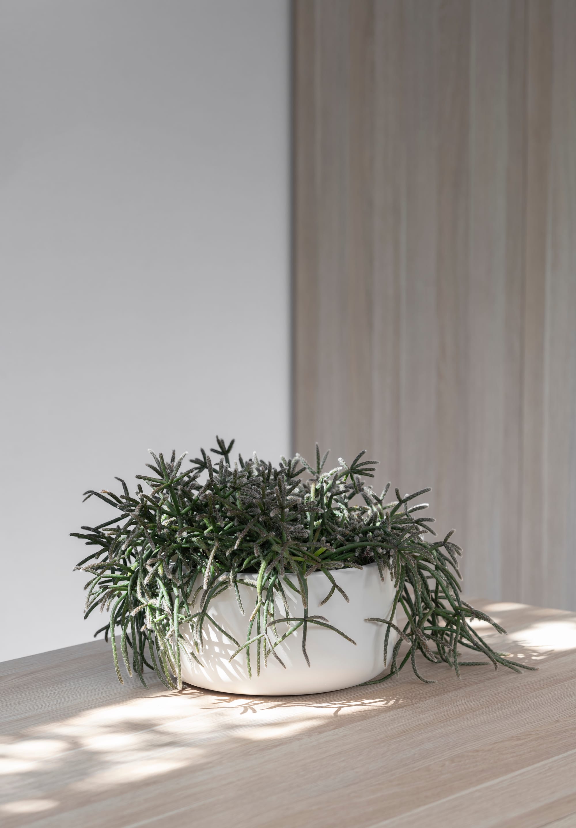 Outdoor Collection by Hibernate. Handcrafted, lightweight, white, high-quality marine-grade fiberglass round plant pot.