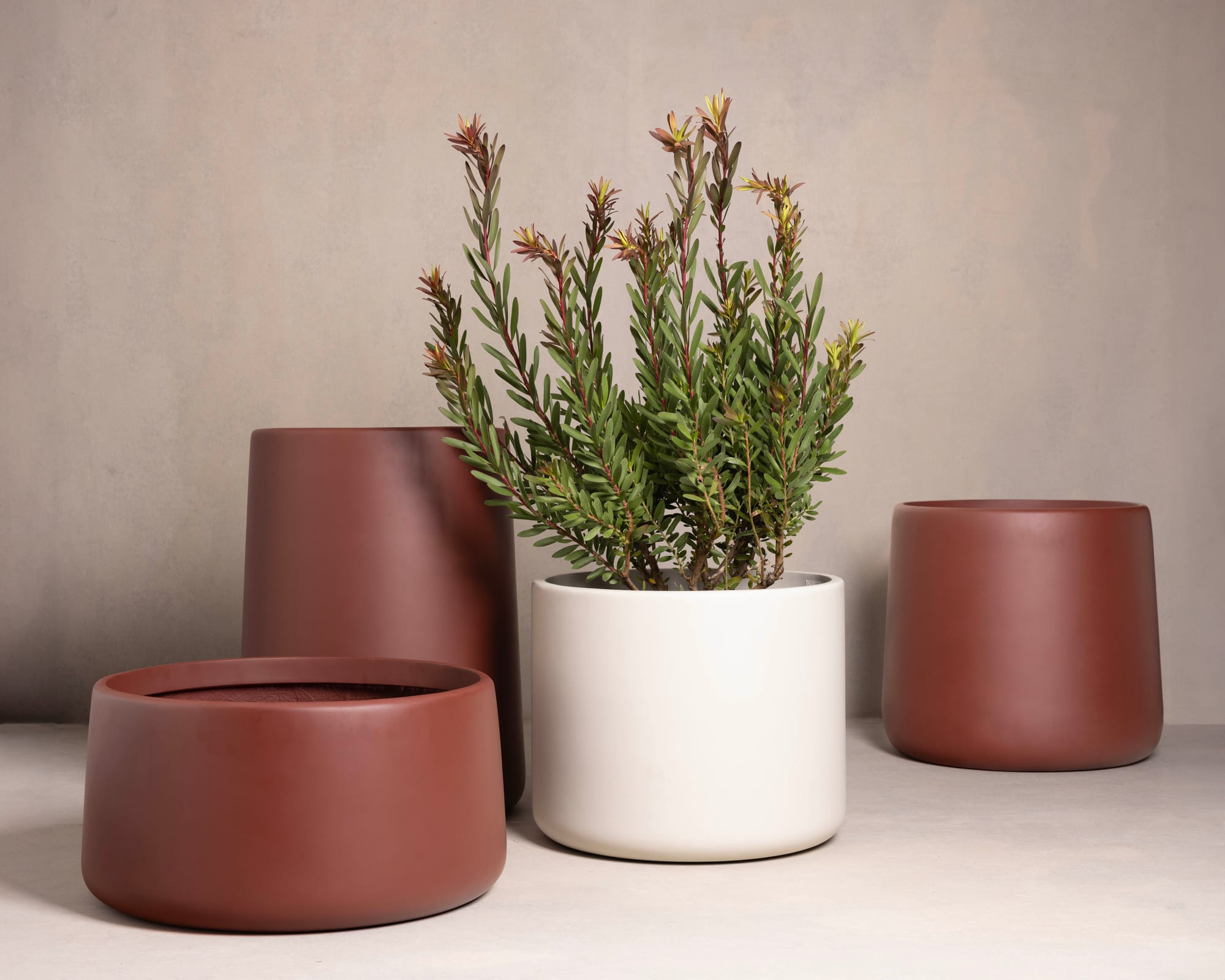 Outdoor Collection by Hibernate. Handcrafted, lightweight, white and clay coloured, high-quality marine-grade fiberglass plant pots.