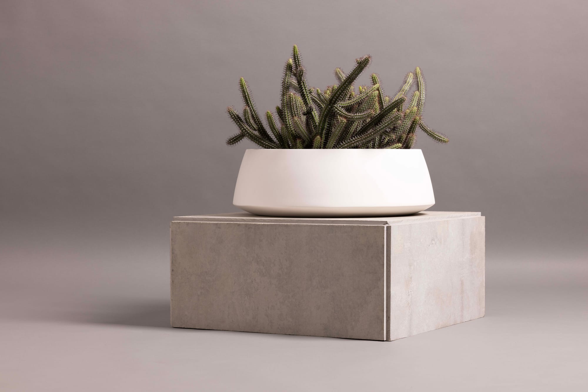 Outdoor Collection by Hibernate. Handcrafted, lightweight, white, high-quality marine-grade fiberglass cone shaped plant pot.