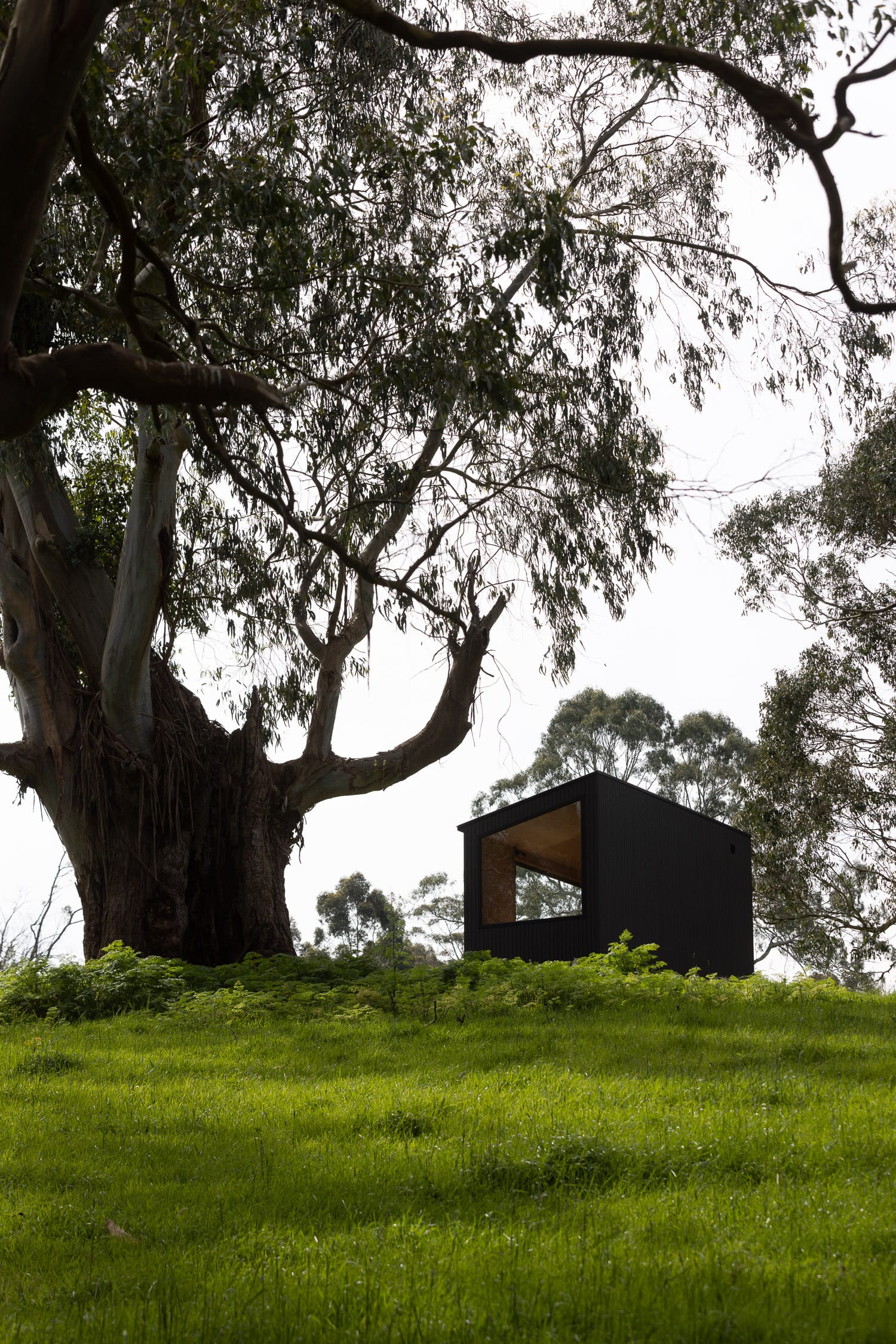 Shelby Lenehan Series by Base Cabin. Tiny house cabin featuring black facade and large glass window standing on top of a hill.