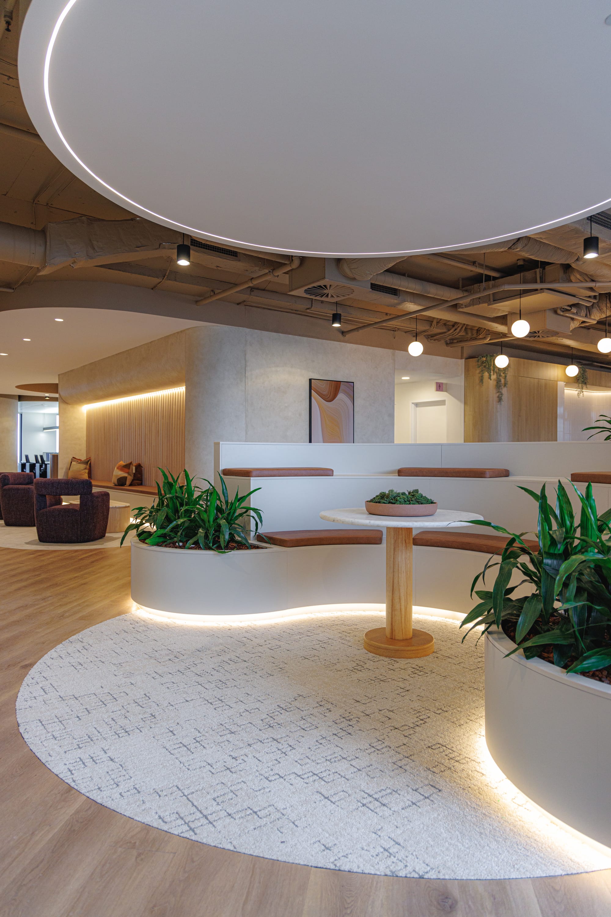 St Leonards Centuria Office Fit-Out by Alinea. Customised, white, illuminated seating island featuring integrated greenery.