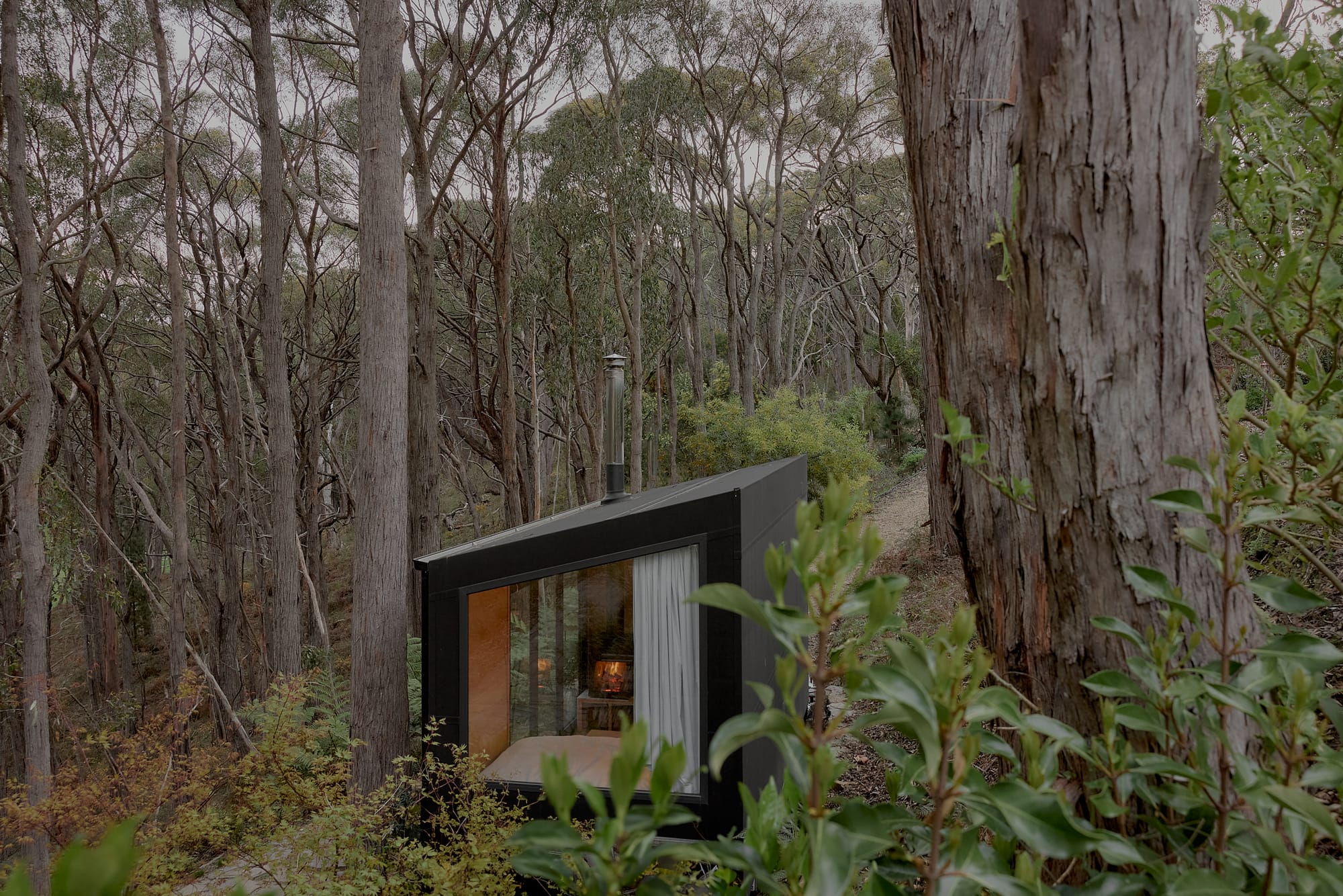 Brook James by Base Cabin. Tiny house featuring glass front and black facade surrounded by forest.