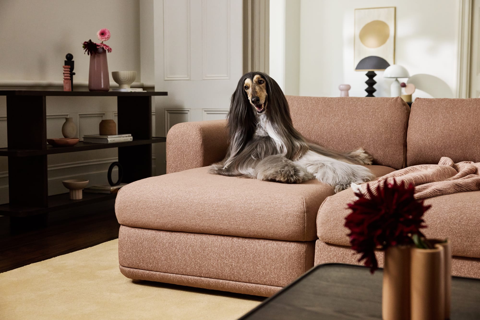 Koala Wanda Sofa Bed in pink with a dog with long hair sitting on it