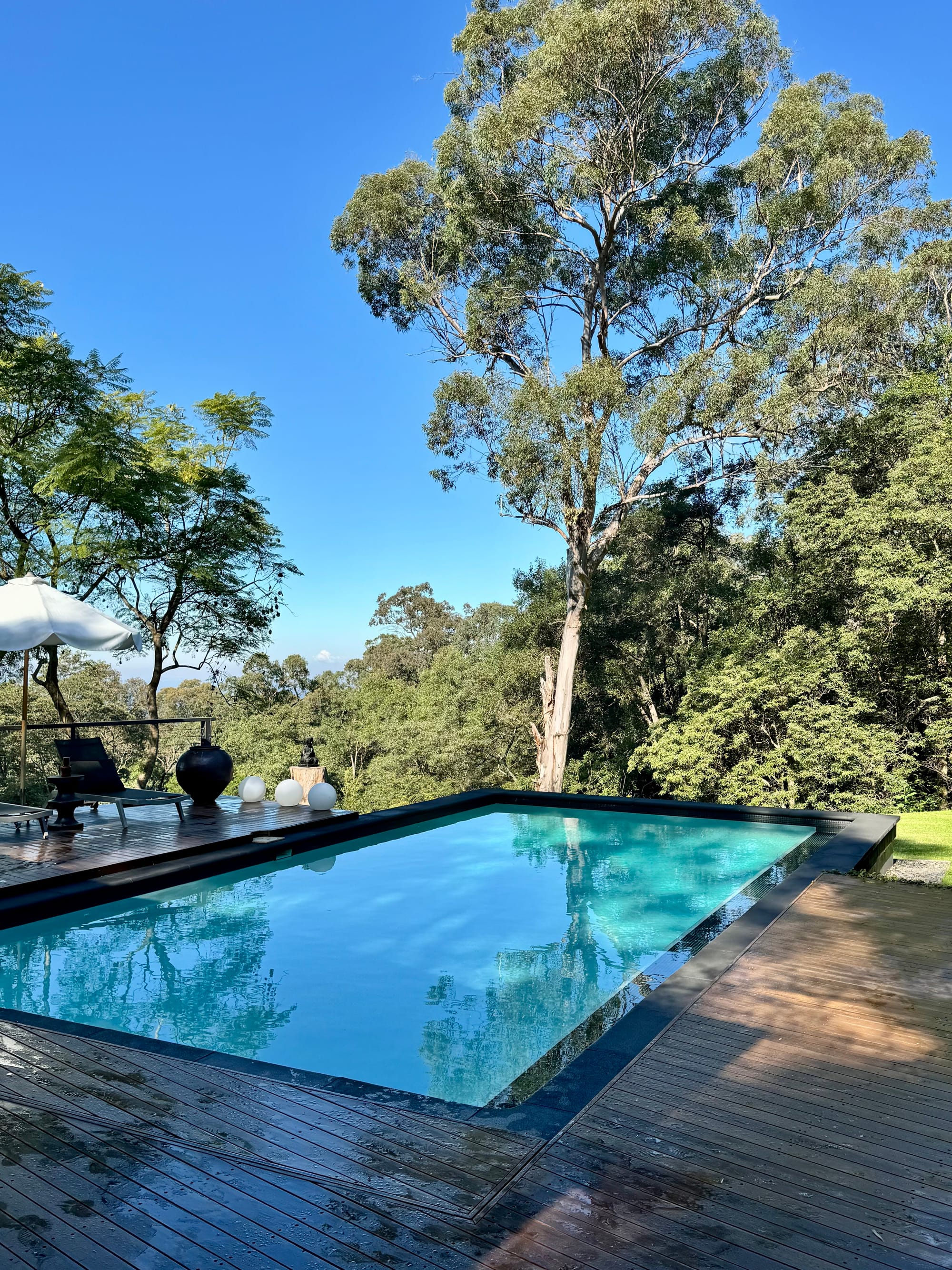 Dadirri Retreat showing the pool and bushland