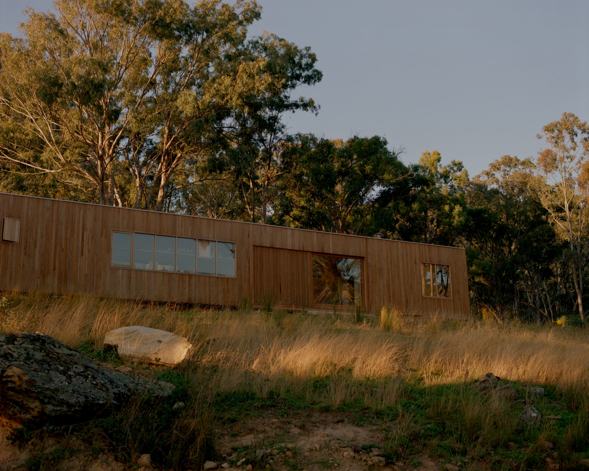 Practice Ground. Photography by Saskia Wilson. Low angle image of a rectangular timber clad residence on a grassy hill with tall native gum trees in the background. 