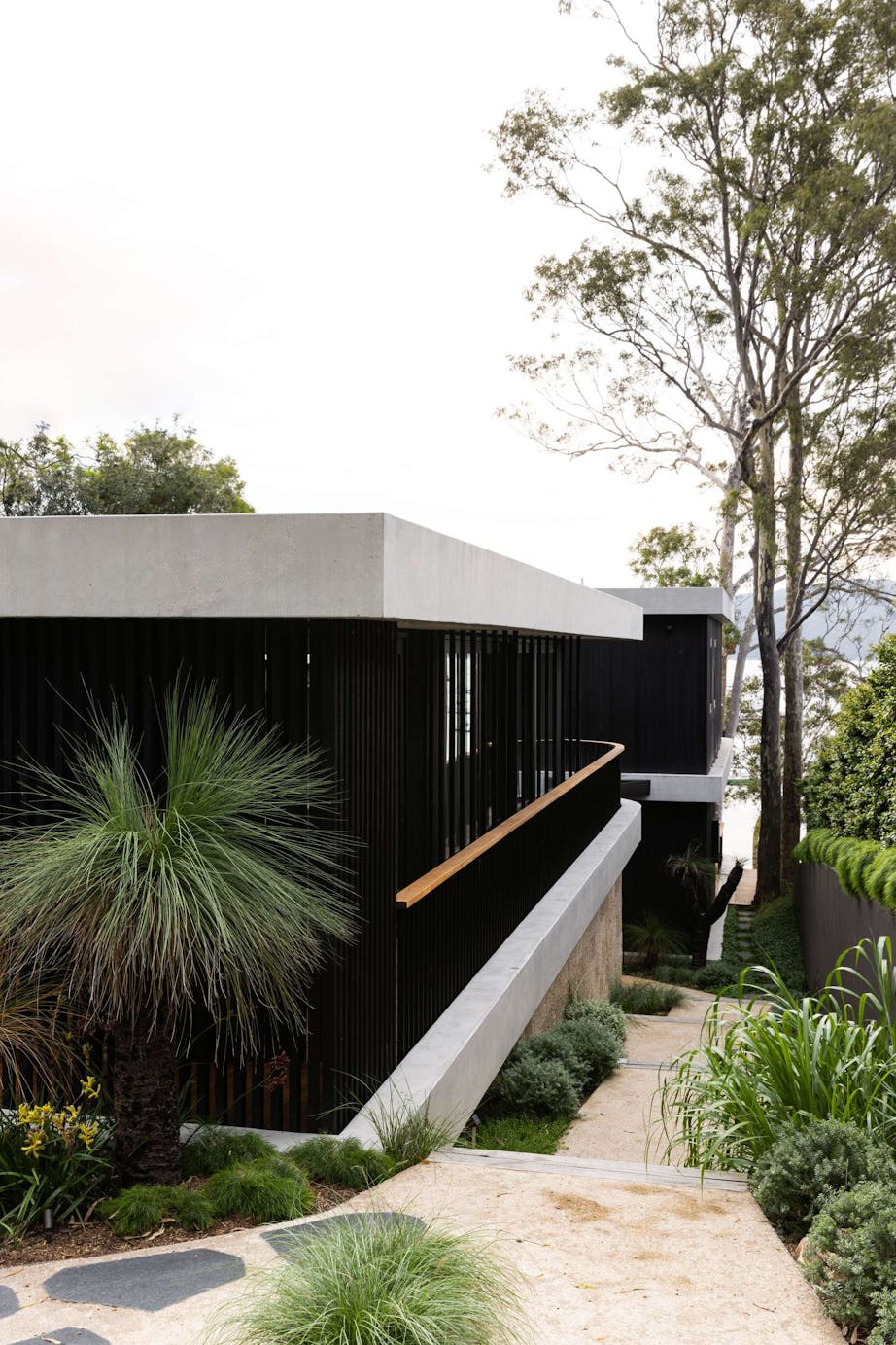 The Ripple House by Marker Architecture. Photography by Simon Whitbread. Blad timber clad home with concrete accents with gravel path and native Australian bushland gardens.