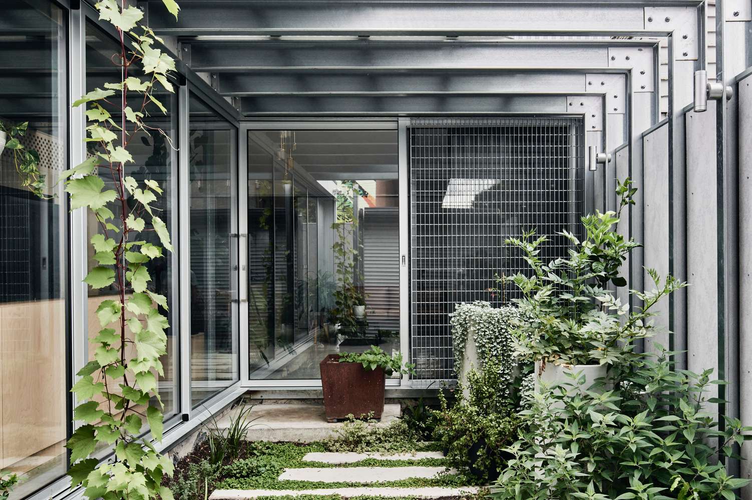 That Old Chestnut by FIGR Architecture Studio. Photography by Tom Blachford. Indoor courtyard with industrial metal wall and ceiling beams, glass and mesh doors and windows and lots of green, bushy plants.