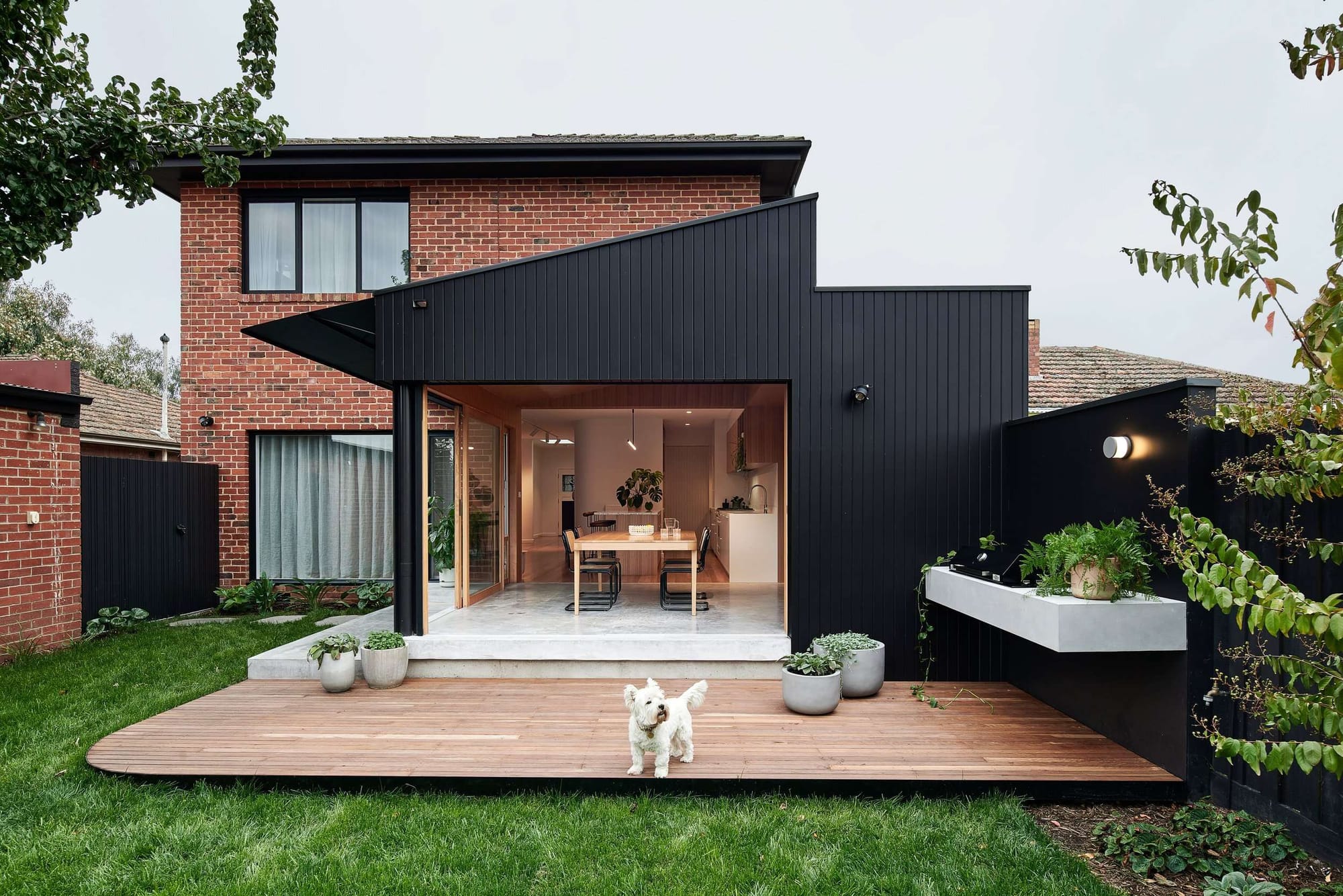 Thornbury Residence by True Story. Photography by Dean Bradley Photography. Rear facade of home with black timber black and brick exterior, a timber deck, concrete flooring inside and a white dog on the grass.