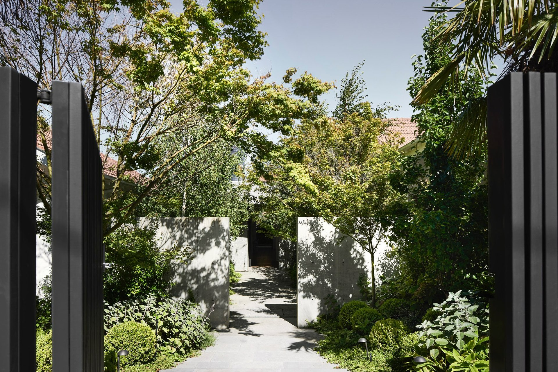 South Yarra III Victoria by Myles Baldwin Design. Photographer undisclosed. Heavily planted garden obscuring footpath through centre of image.