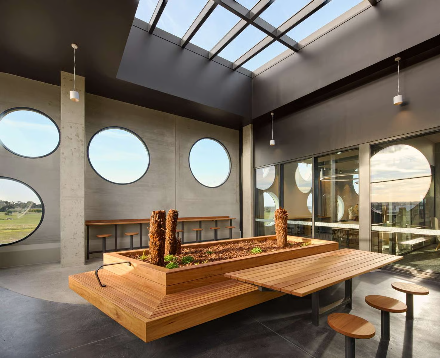 Biyal-a Armstrong Creek Town Centre Library and Community Hub by Buchan. Photography by Tom Roe. Modern indoor courtyard with a timber planter bench, circular windows on concrete walls, built-in seating, and a large skylight allowing natural light to flood the space.