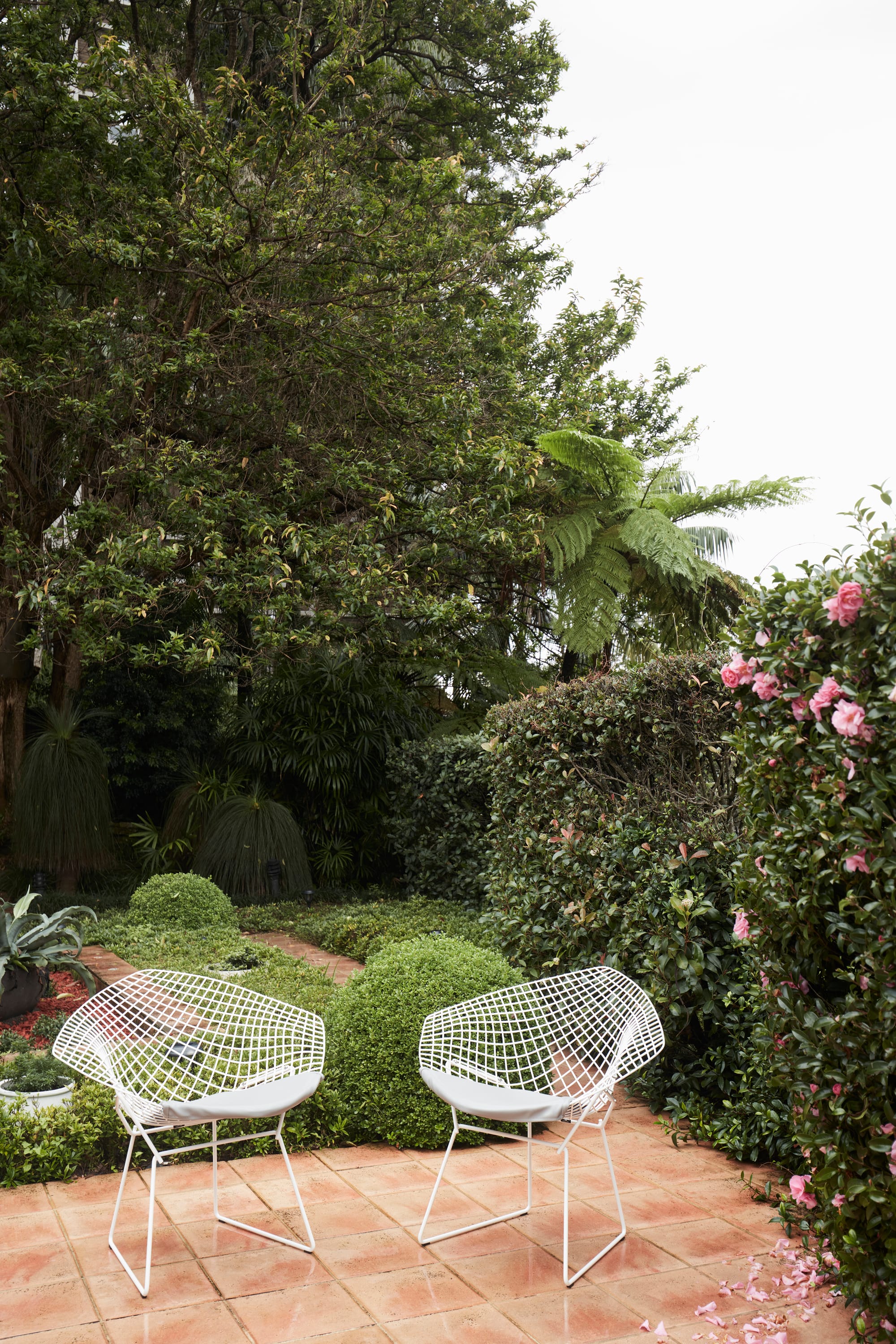 Marathon Road by Marylou Sobel Interior Design. Photography by Prue Ruscoe. Outdoor tiled patio with white mesh chairs, green and pink bushes and tall trees in background.