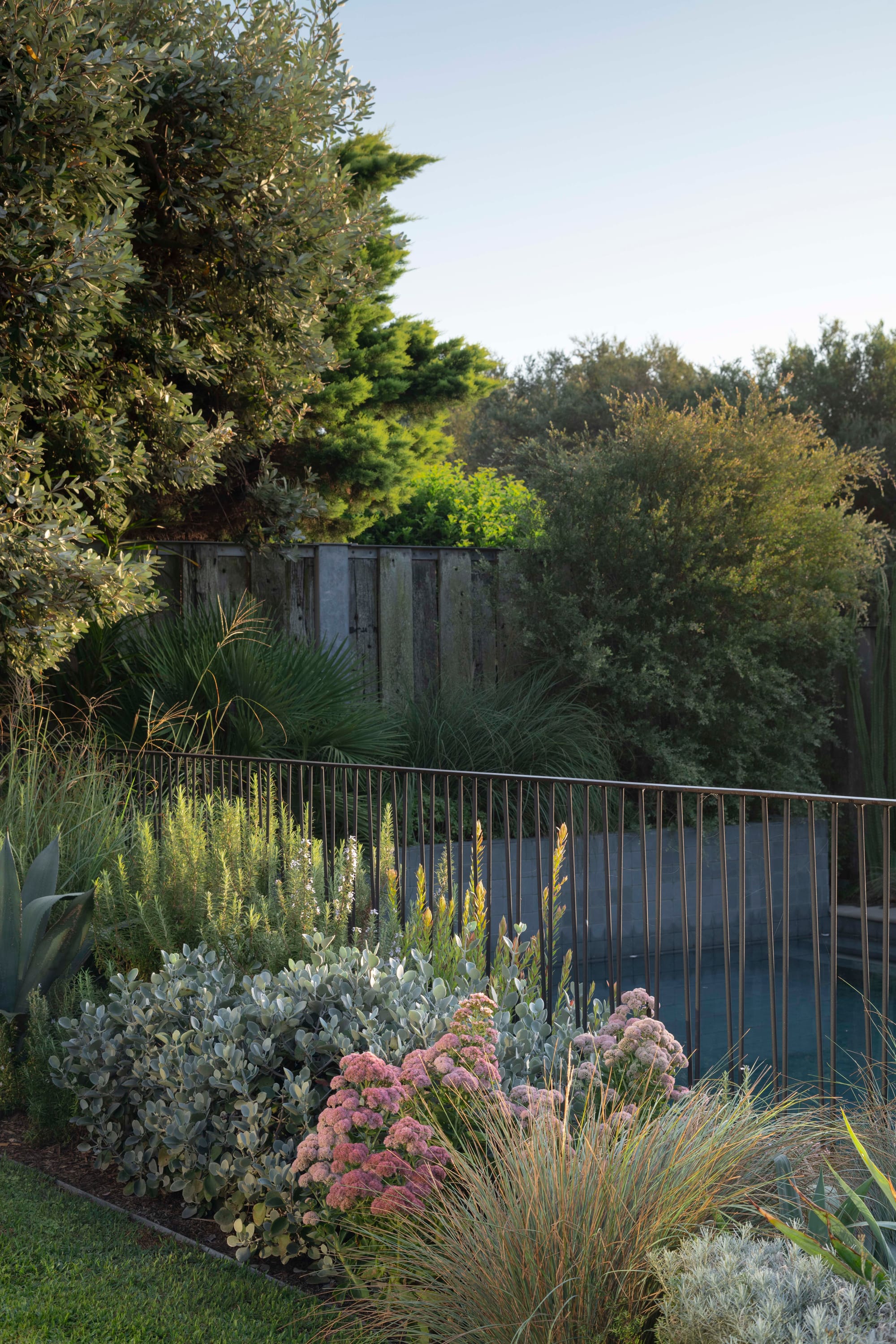 Stone House by Secret Gardens. Pool garden with layered native planting including rosemary, sedum and agave under soft evening light.