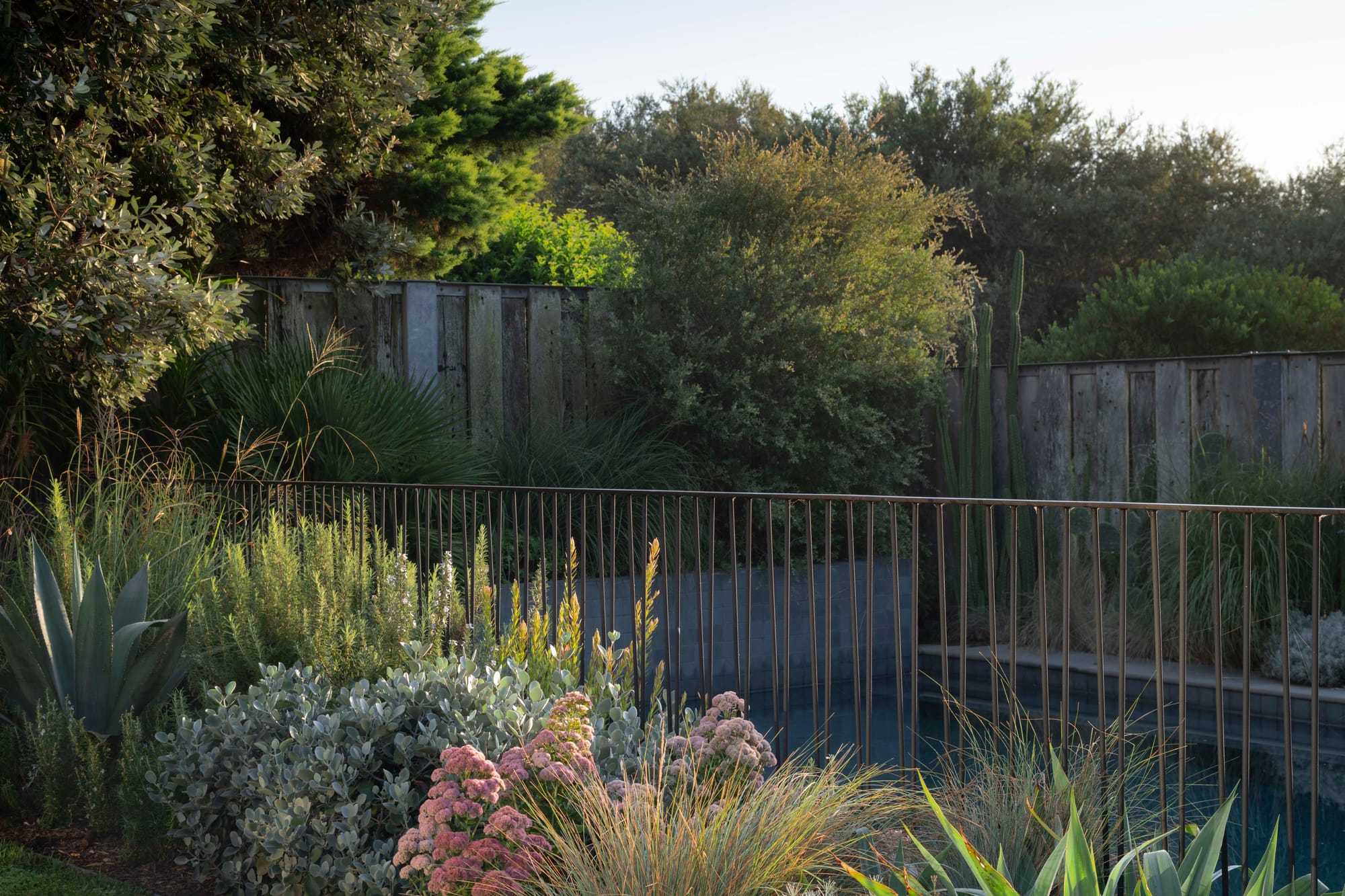 Stone House by Secret Gardens. Soft coastal planting of agave, rosemary and flowering perennials surrounds the pool, creating a calm and natural edge.