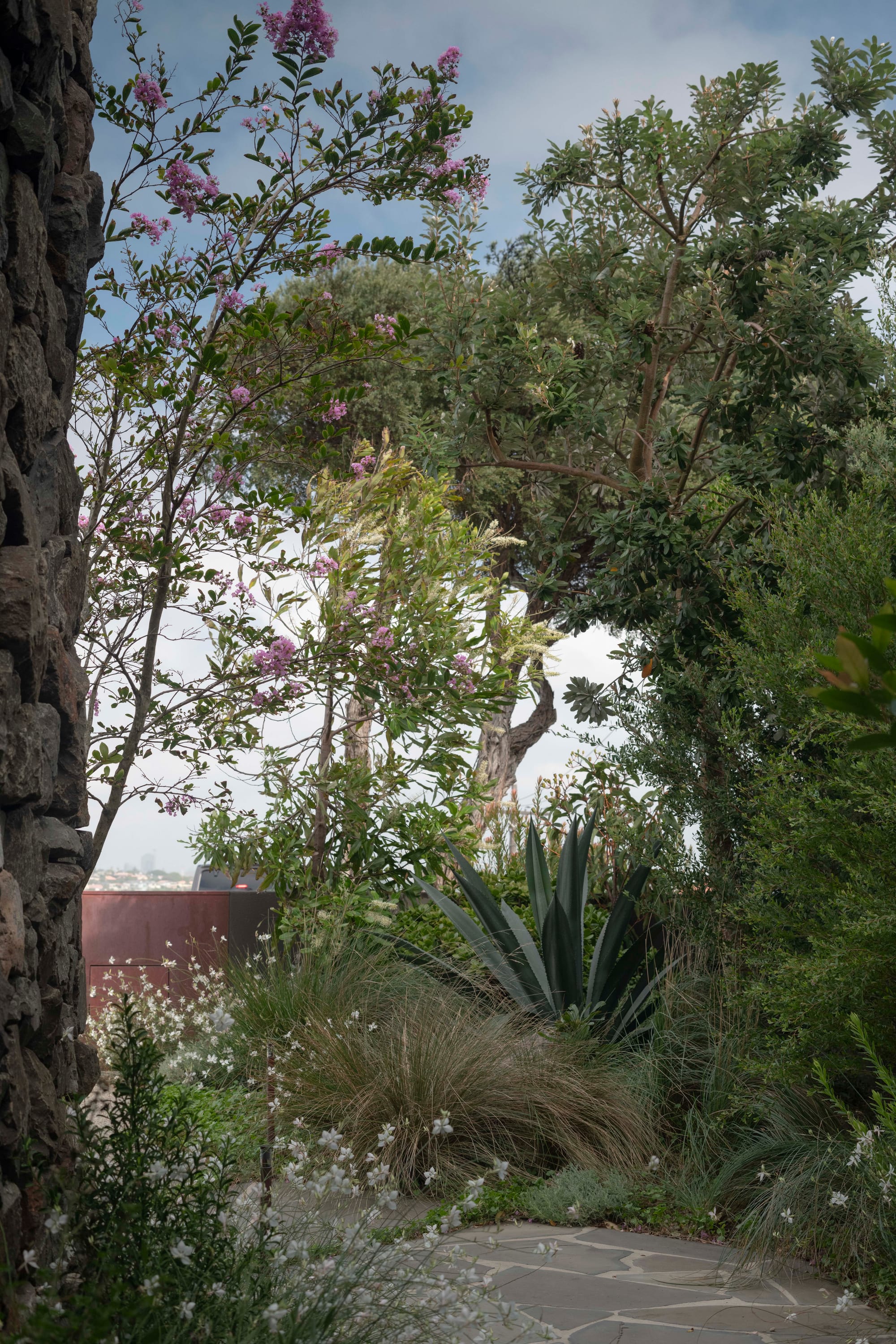 Stone House by Secret Gardens. Agave and native grasses nestled beside the stone wall, showcasing coastal texture and resilience.