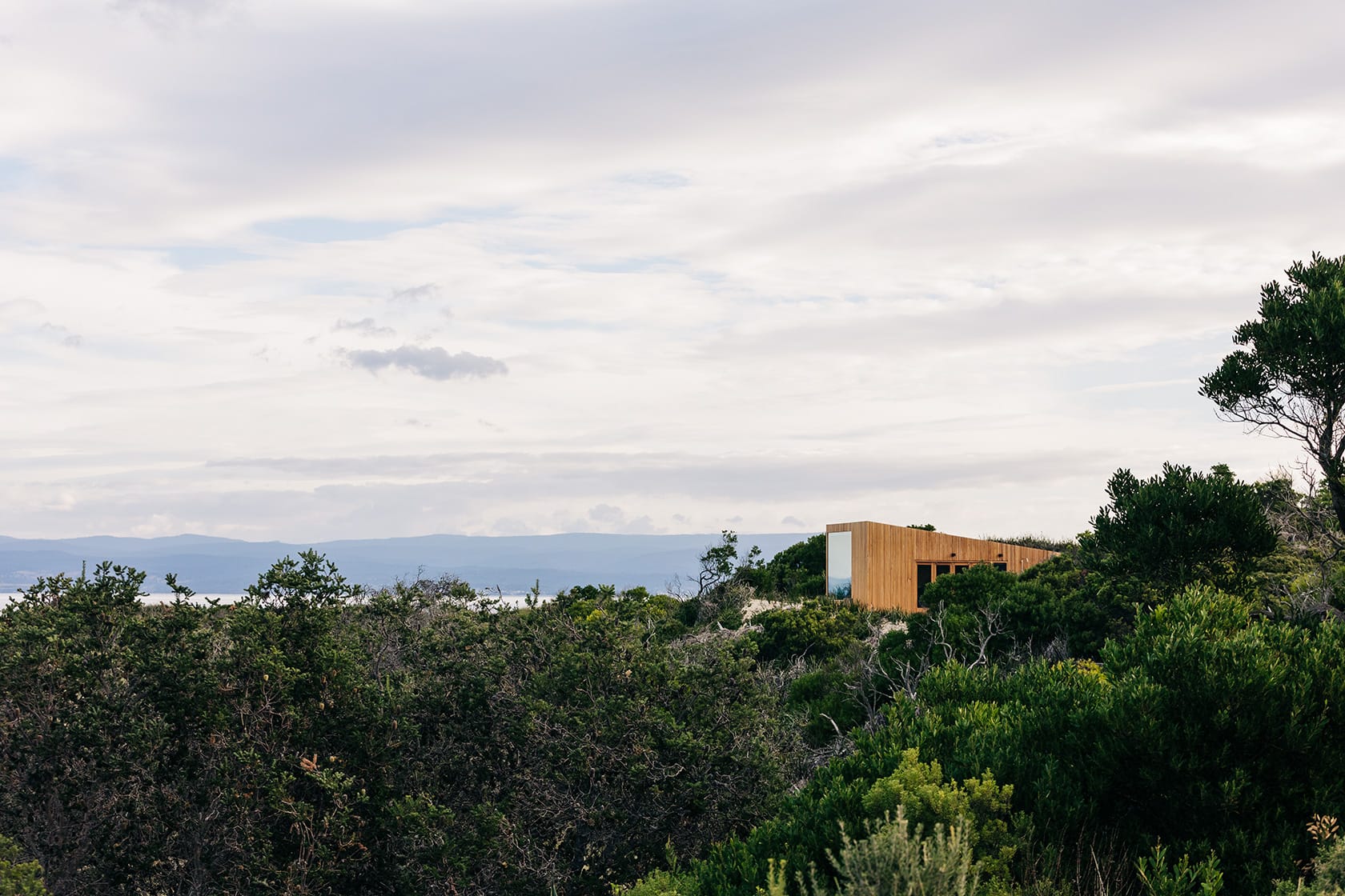 Studio Tasmania. Photography by Adam Gibson. Timber clad beach hut emerging from dense beach foliage, with hilly landscape in background.