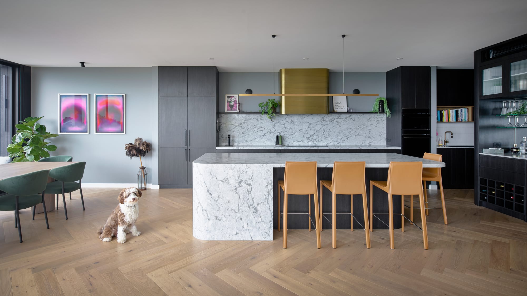 Headland House by Baikie Corr Architecture. Photography by Toby Peet. Kitchen and dining space with stone counters, mustard yellow stools, grey walls, and a dog. 