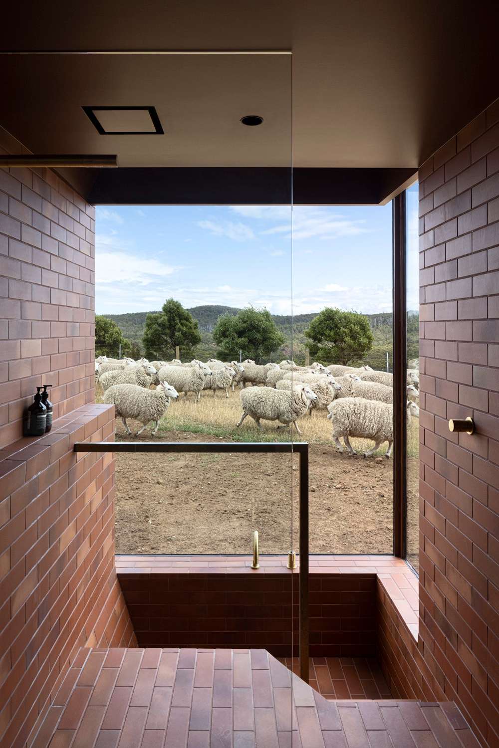 An interior shot of the bathroom showing a sunken bath in red tiles with a view out to a rural setting with sheep walking by.