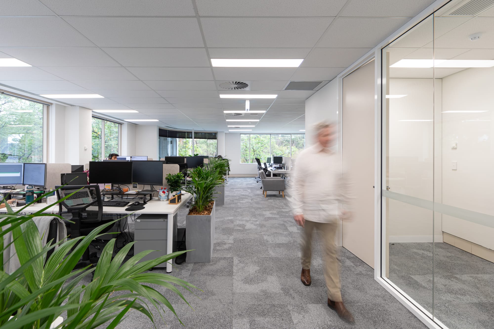 Telus Health by Saru Design. Photography by Ryan North. Man in white shirt walking alongside glass wall, in office space with grey carpets, plant dividers and white desks. 