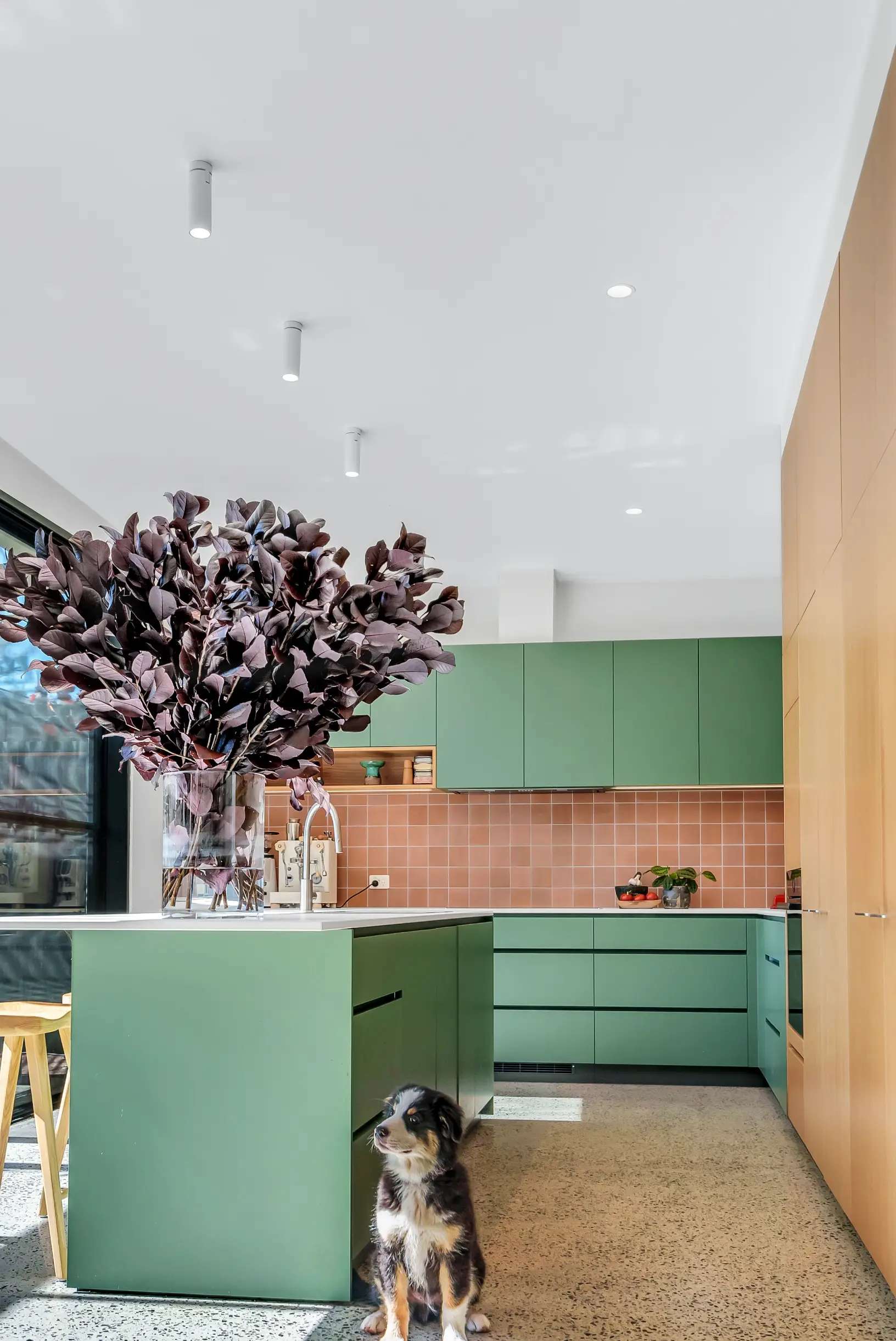 An interior image of a bright kitchen with a dog in the foreground and an island bench behind.