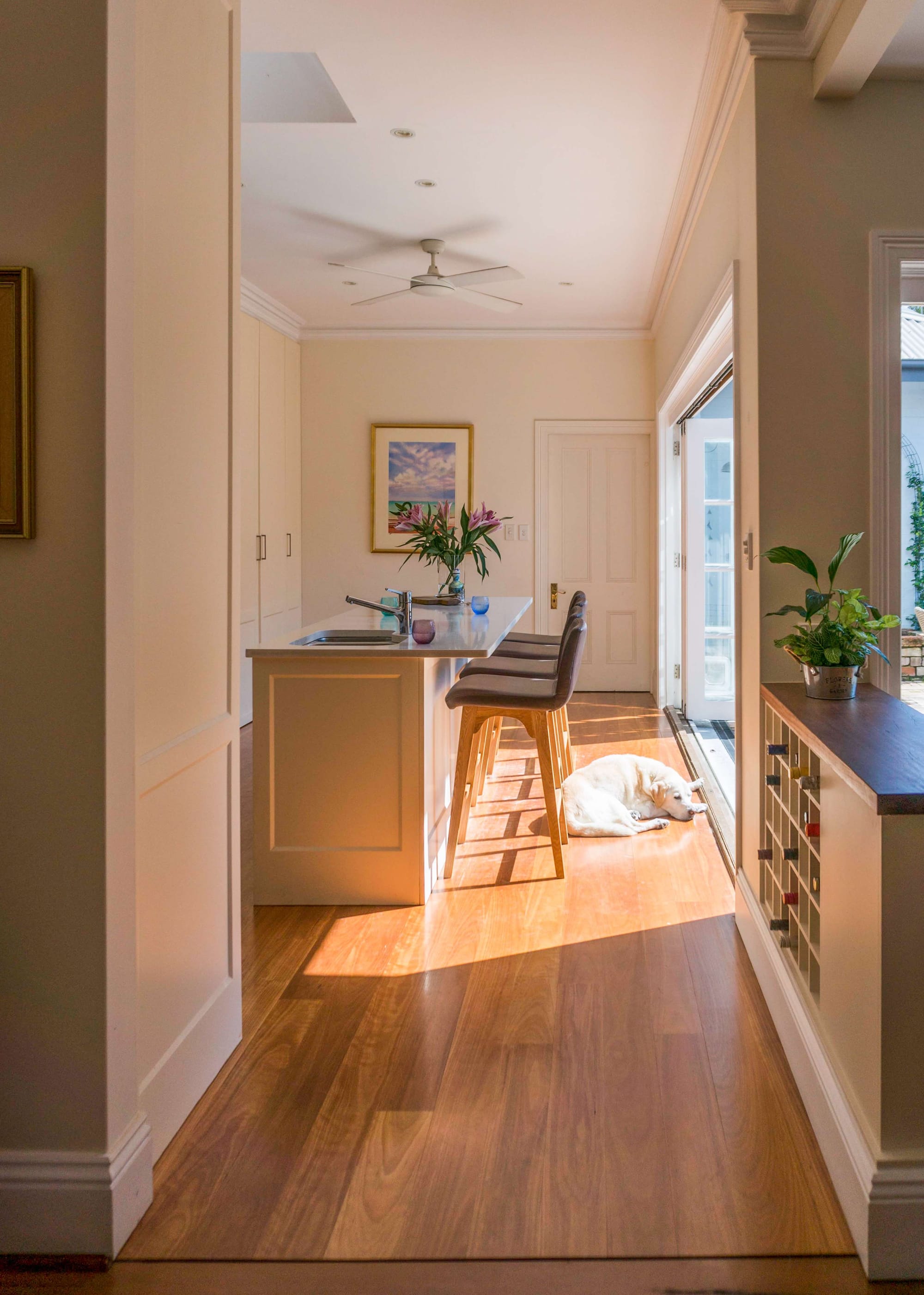 Balmain House by Nx Studio. Photograohy by Gretchen Chappelle. Kitchen island bench with black and timber stools, in room with timber floors and sunlight coming through windows. 