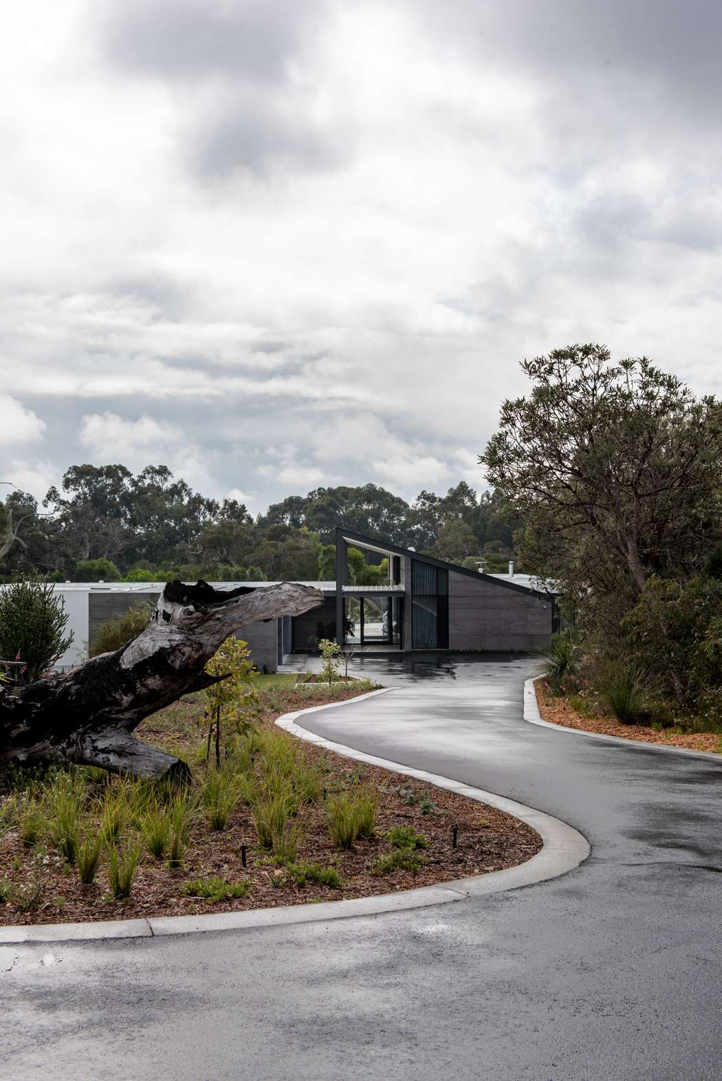 Hausen Court by Keen Architecture. Photography by Keen Architecture. Long winding asphalt driveway leaving to home with concrete facade and asymmetrical pitched roof at entrance, surrounded by native plants..