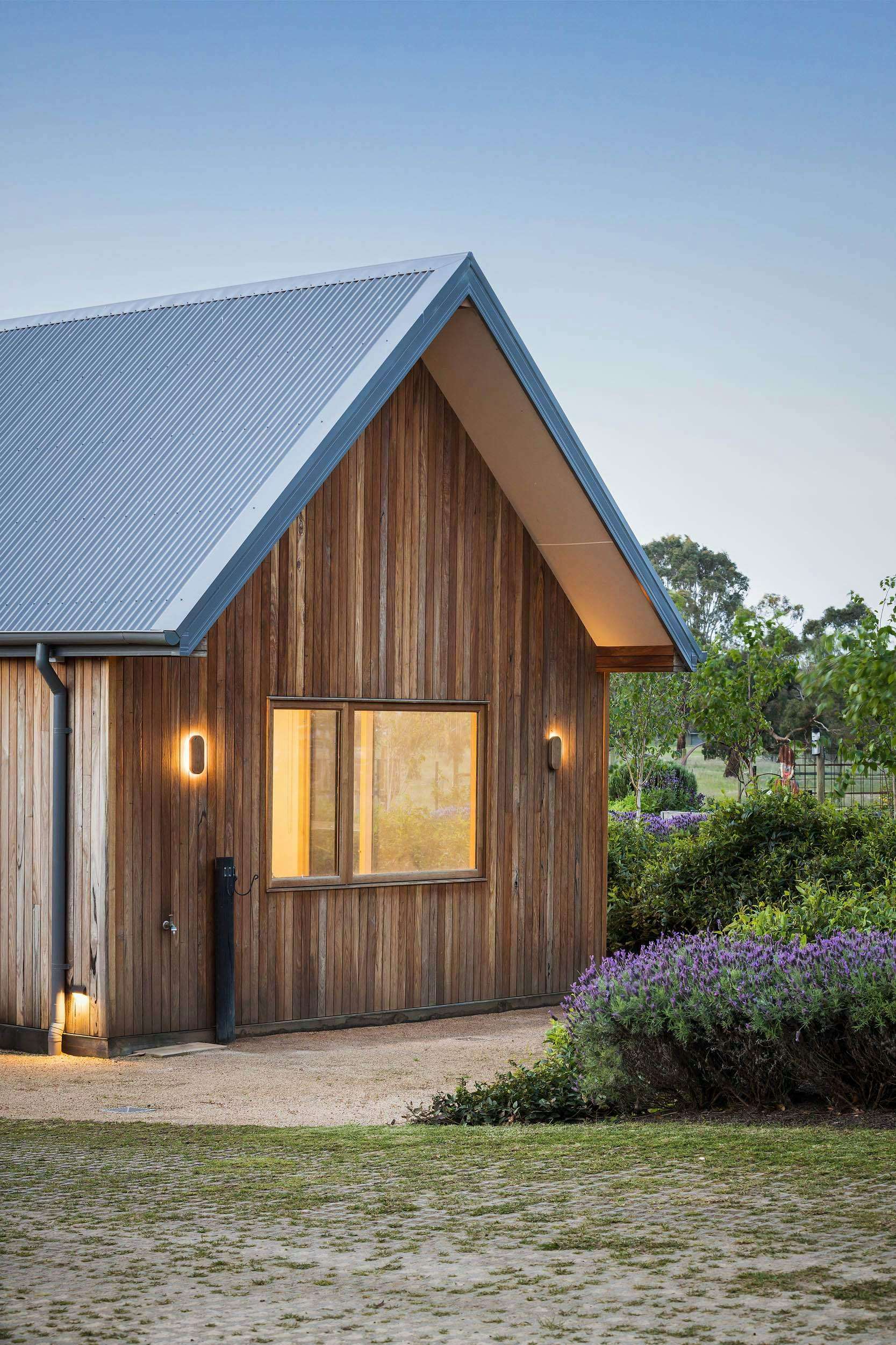 Mooroorduc Farm by Merrylees Architecture. Photography by Mitch Lyons. Simple timber clad pitched roof structure with dense lavender bush to the left, grassed backyard to the left and light gravel driveway.