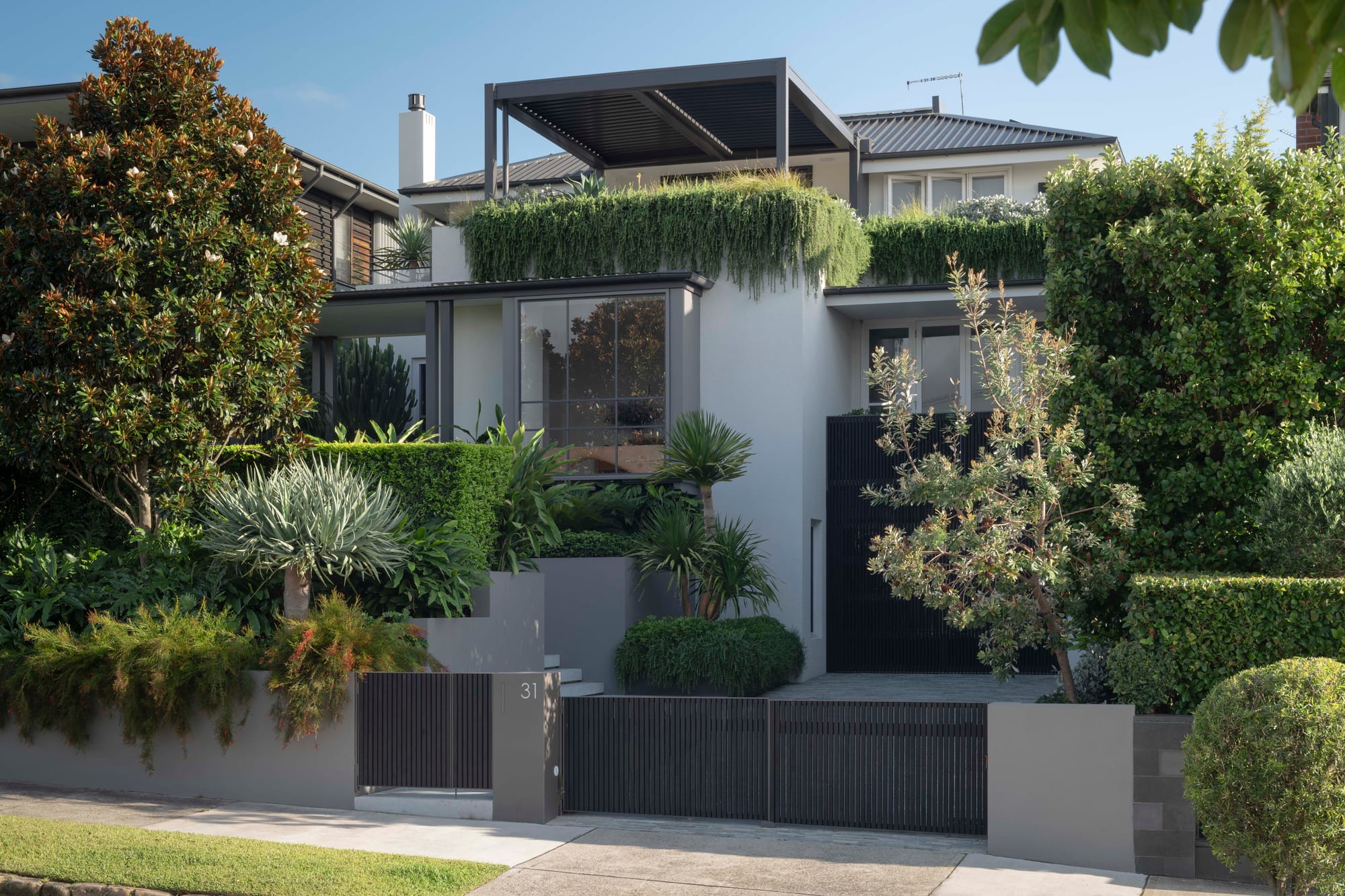 Front entry way and steps. Plants and palm trees with drive way.