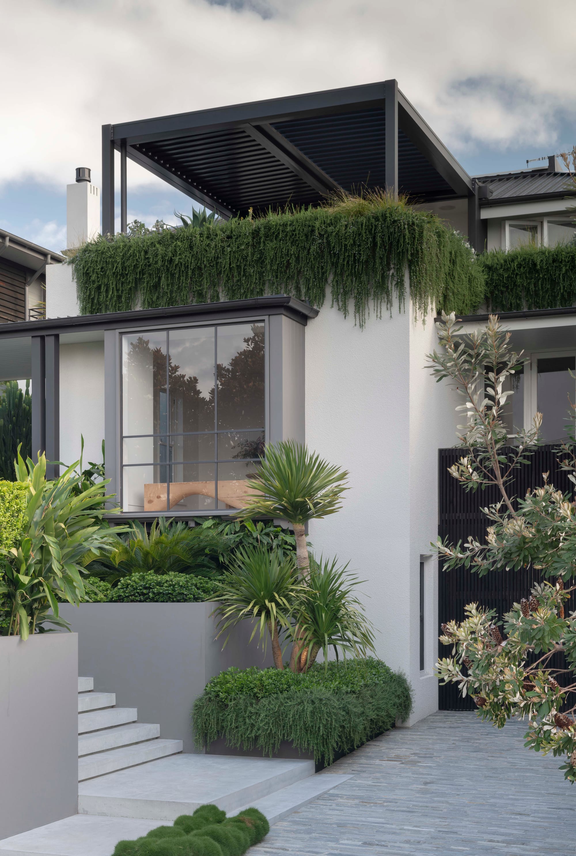 Front entry way and steps. Plants and palm trees with drive way.