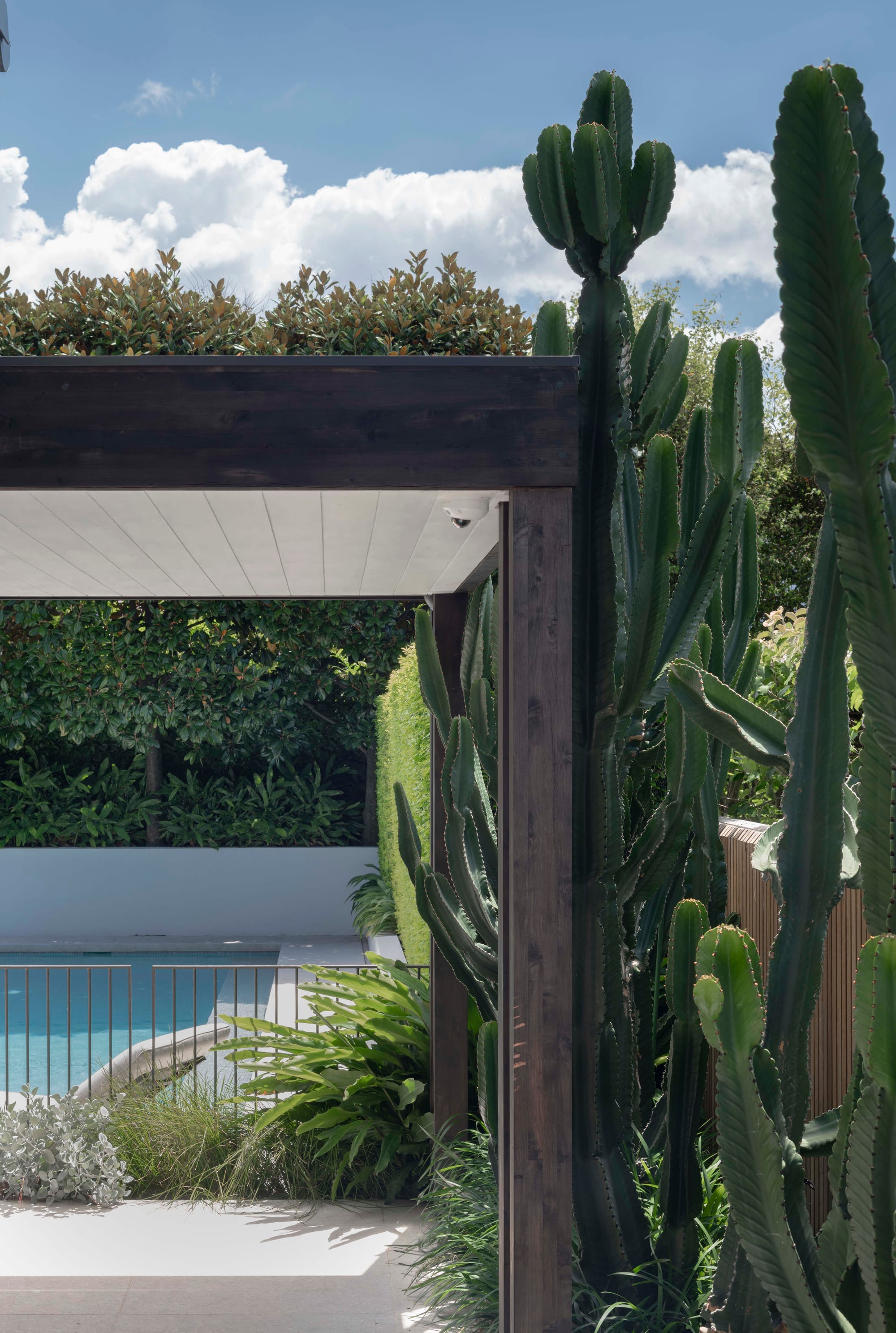 green cactus with pool and pavilion