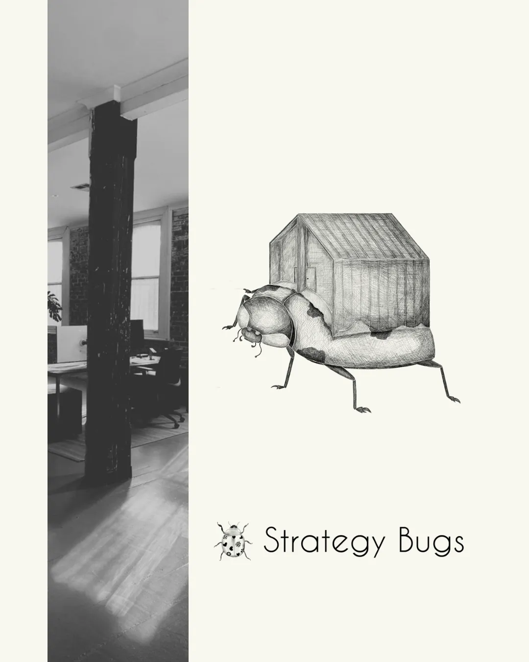 Essential Business Management and Strategic Tools: Strategy Bugs