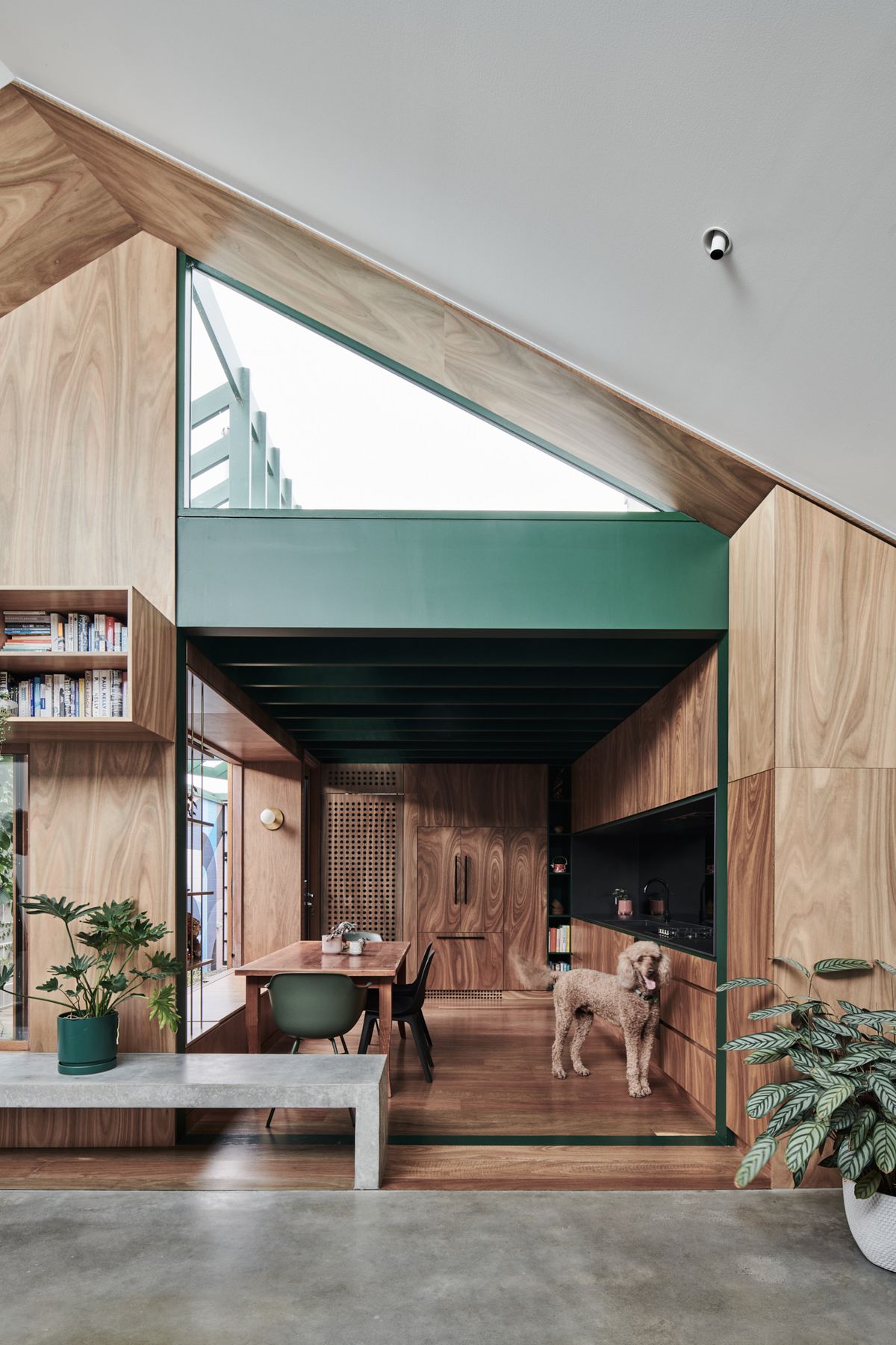 Hot Top Peak by FIGR Architecture showing timber veneer kitchen with a poodle